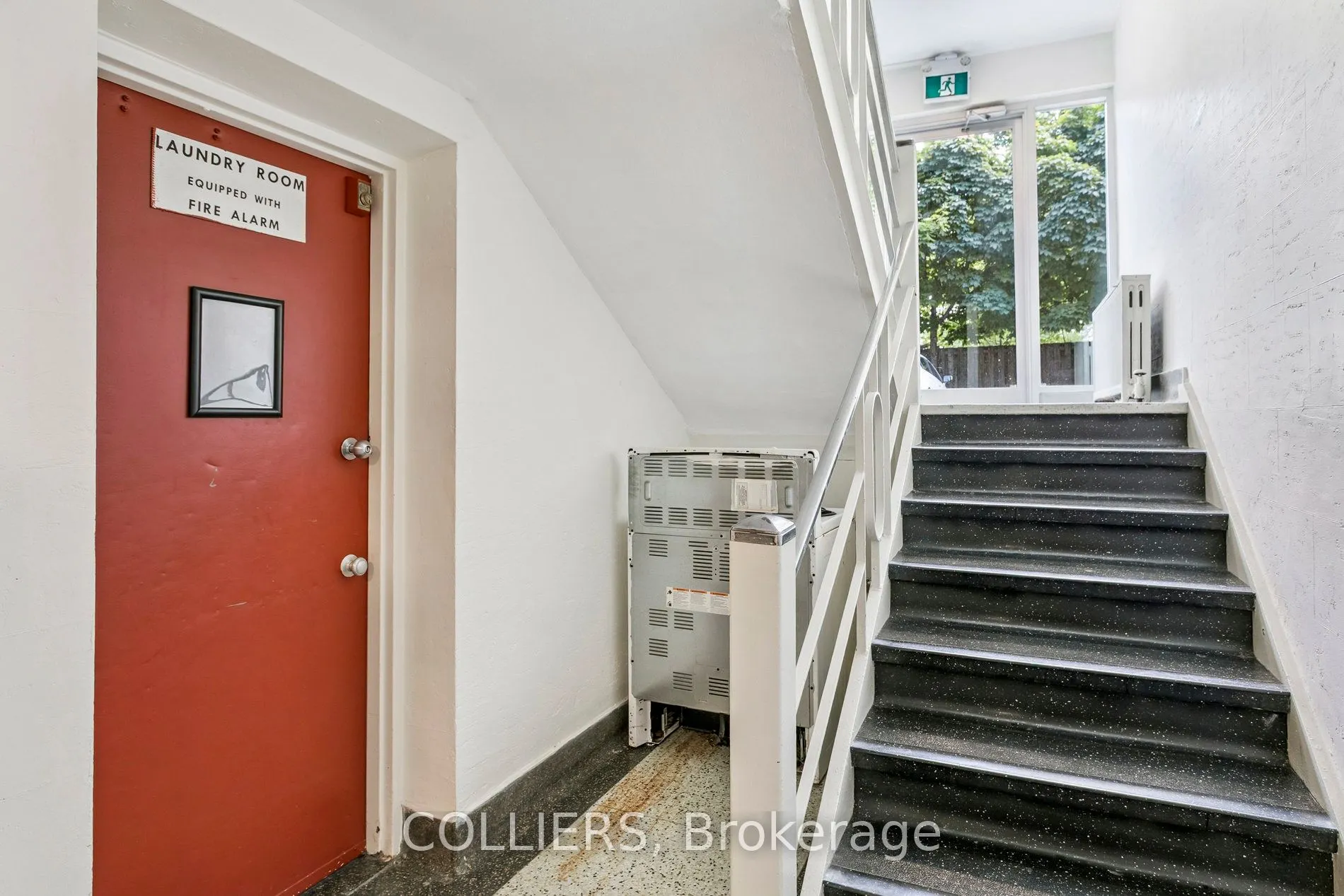 56 South Forster Park Drive