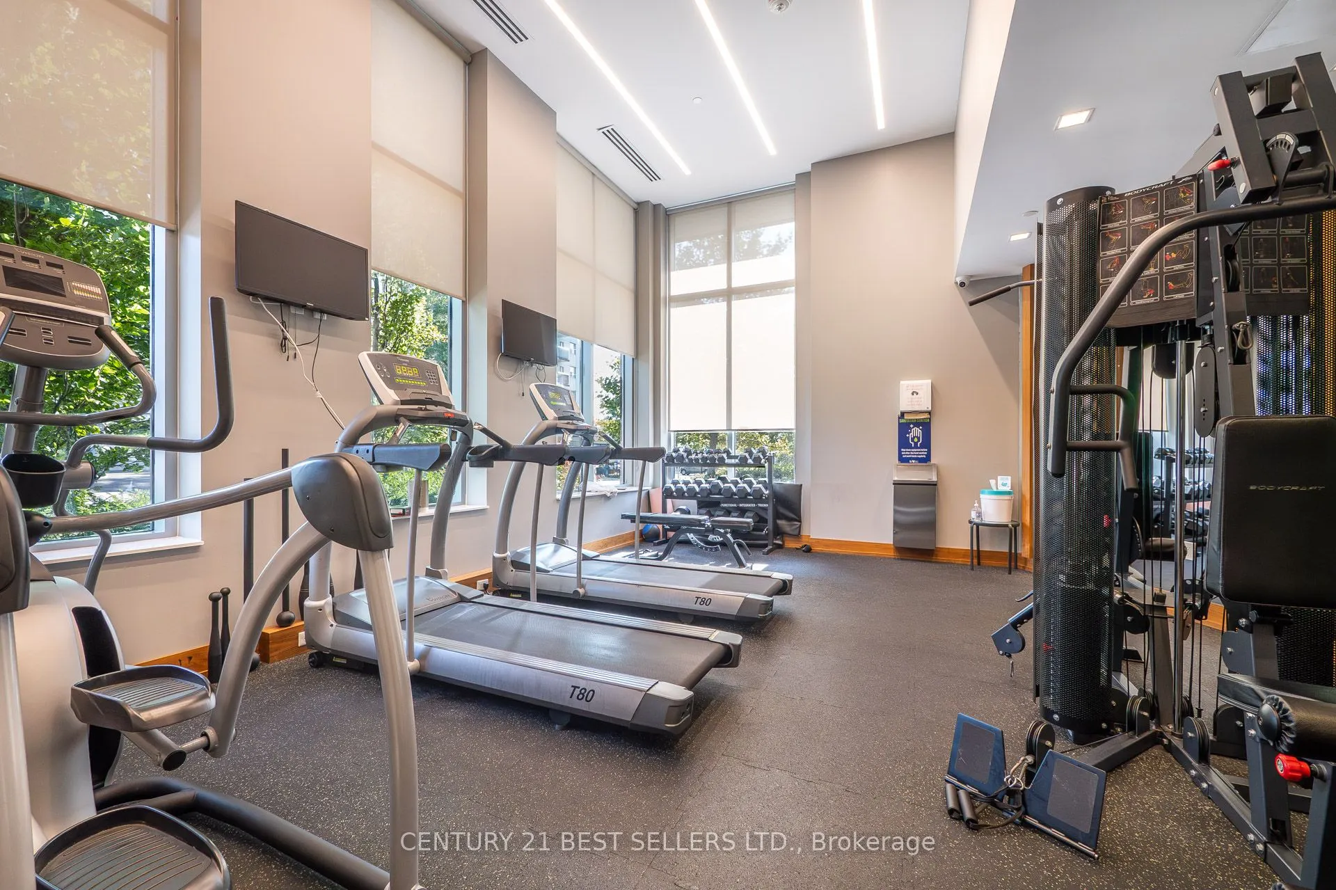 8 Ann Street, #308