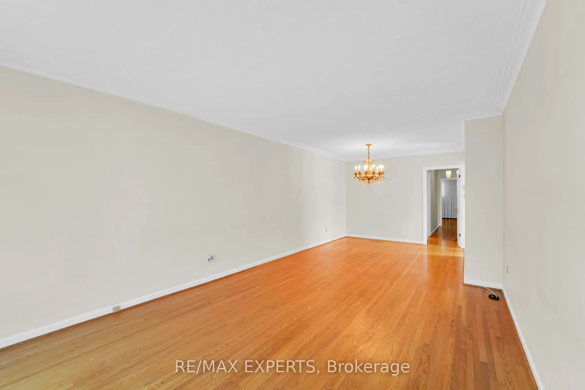 43 Coquette Road