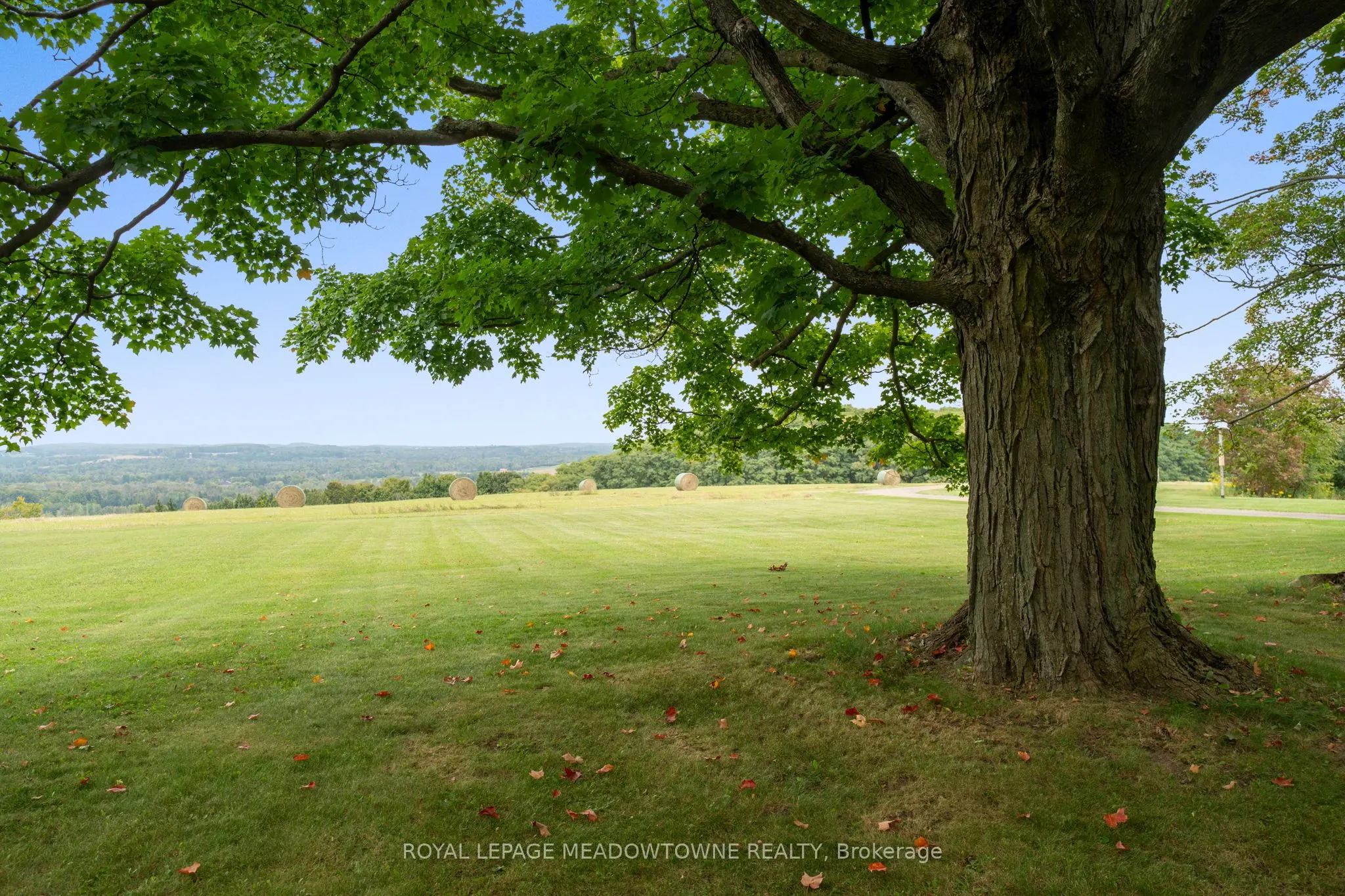 2097 Grange Side Road