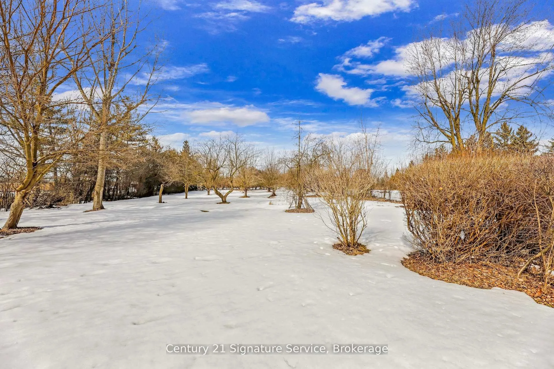 8026 Mayfield Road