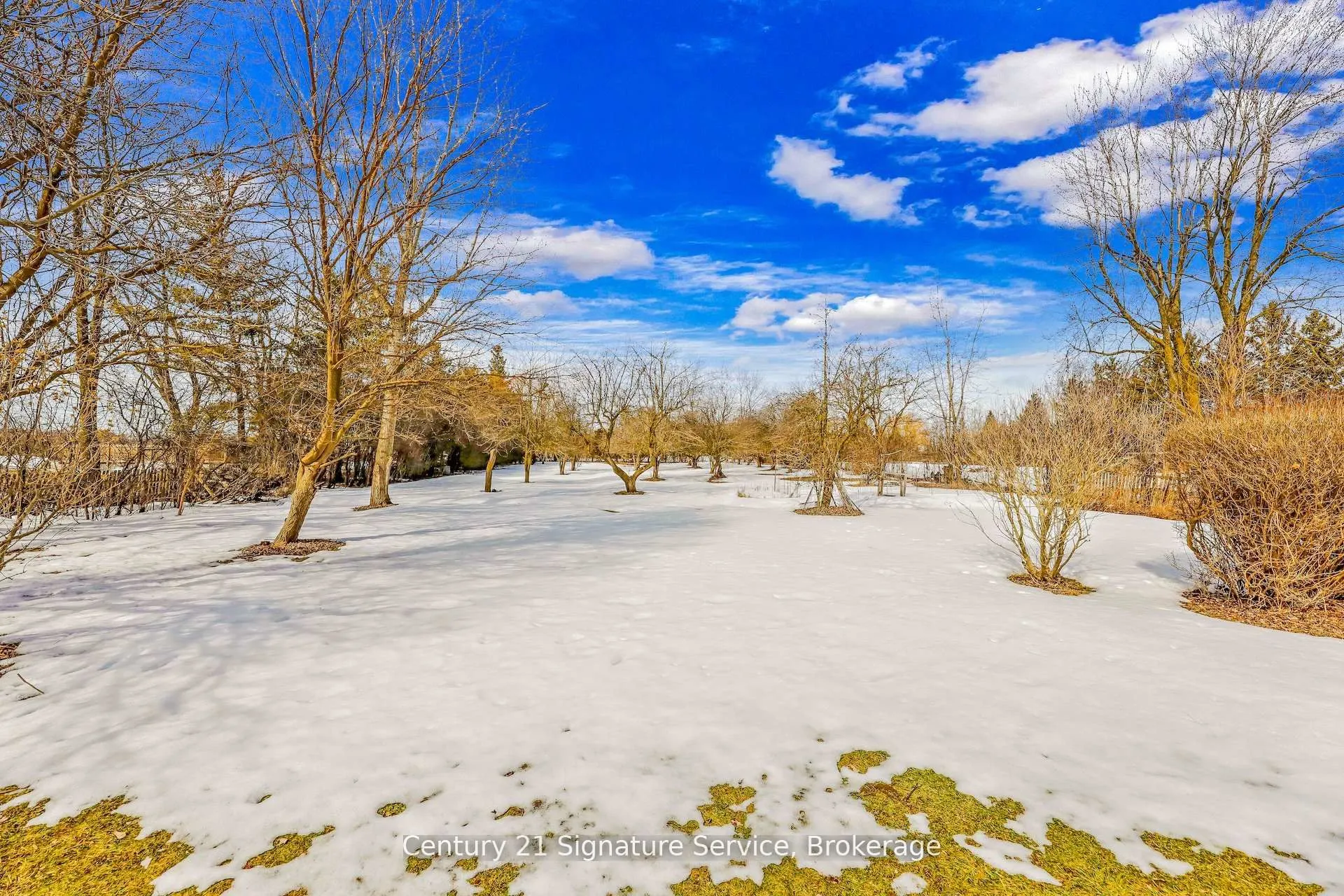 8026 Mayfield Road