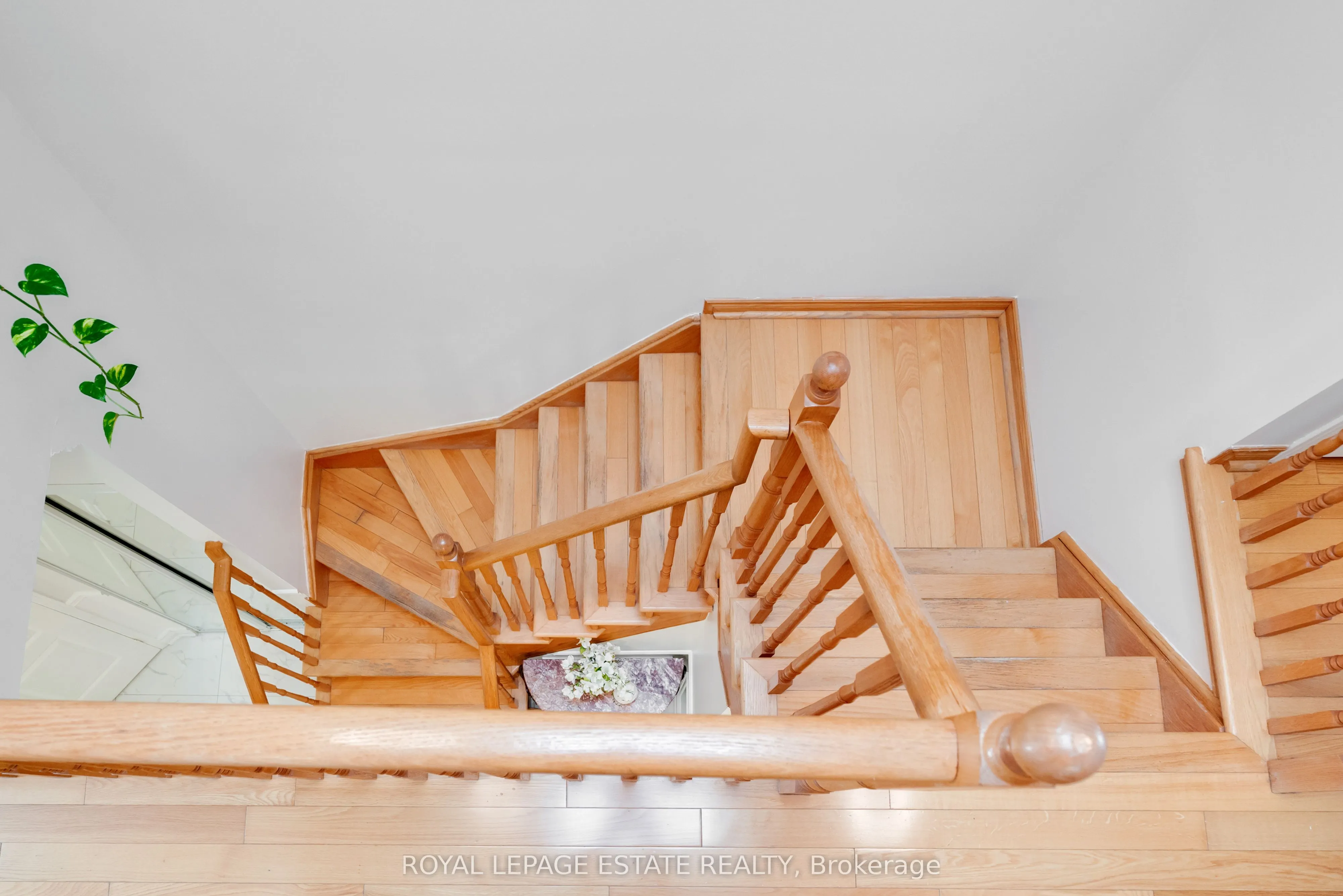 435 Stonetree Court