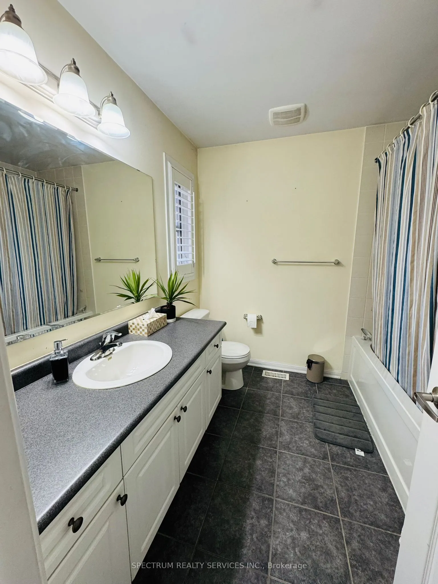 1135 Solomon Court