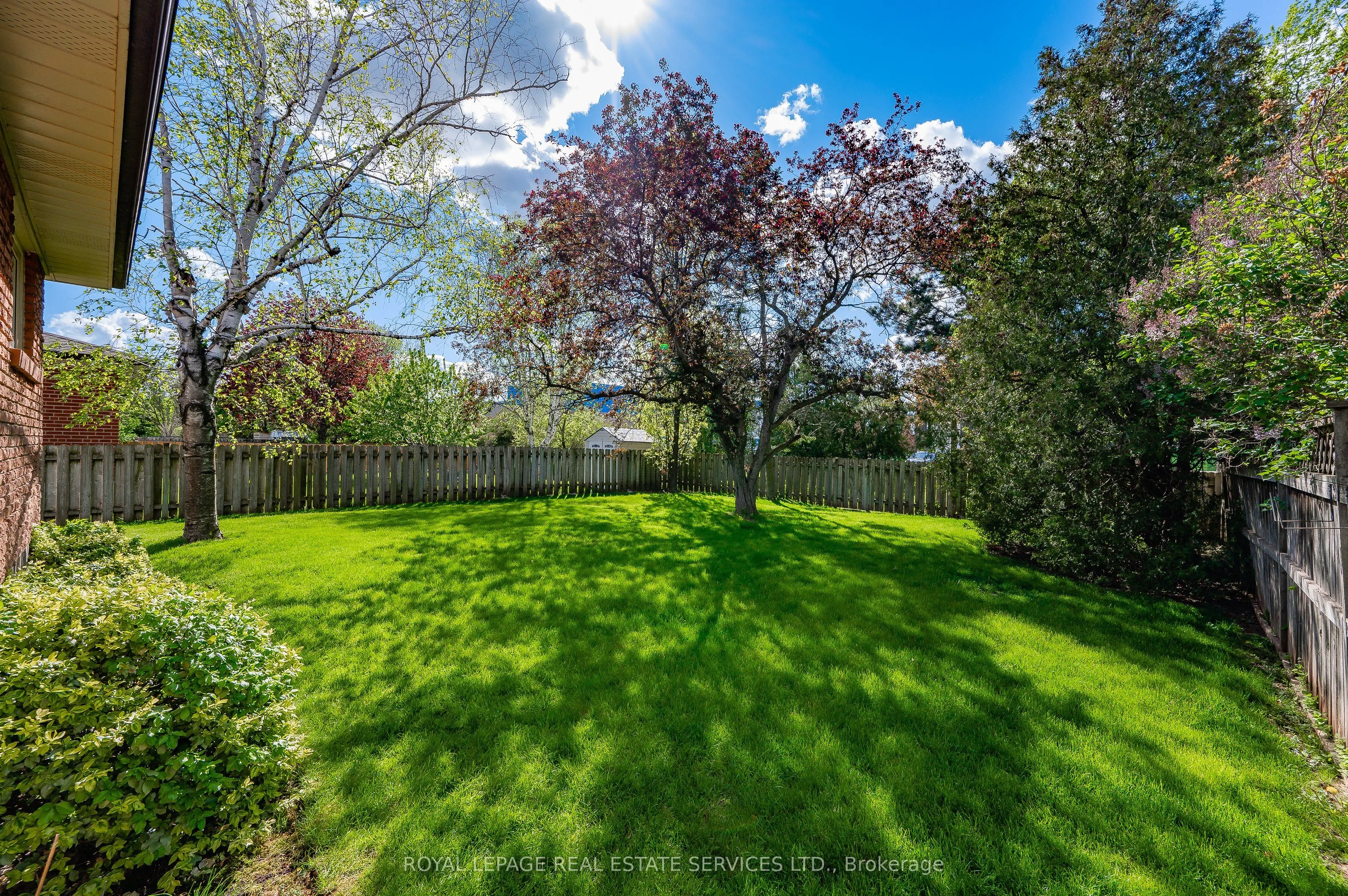 2277 Wyandotte Drive