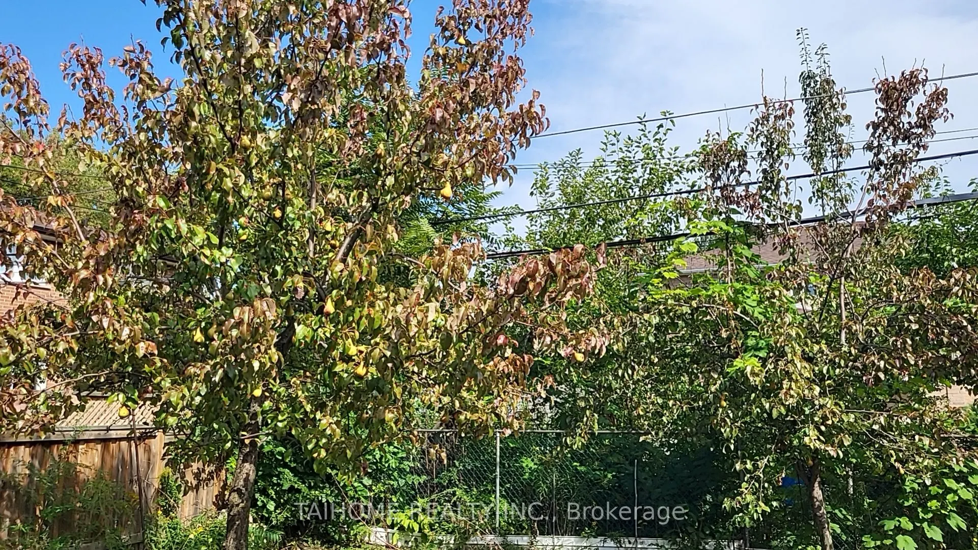 639 Royal York Road
