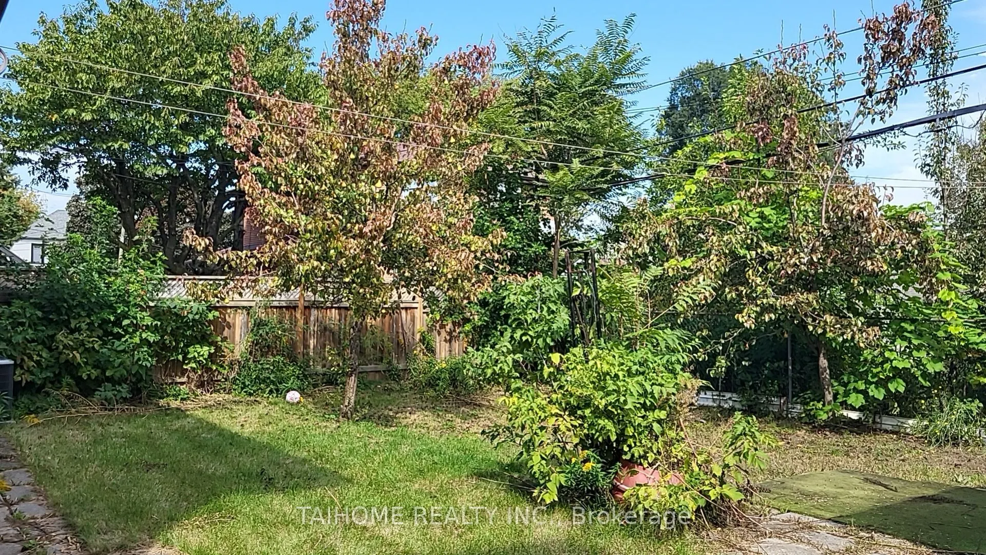 639 Royal York Road