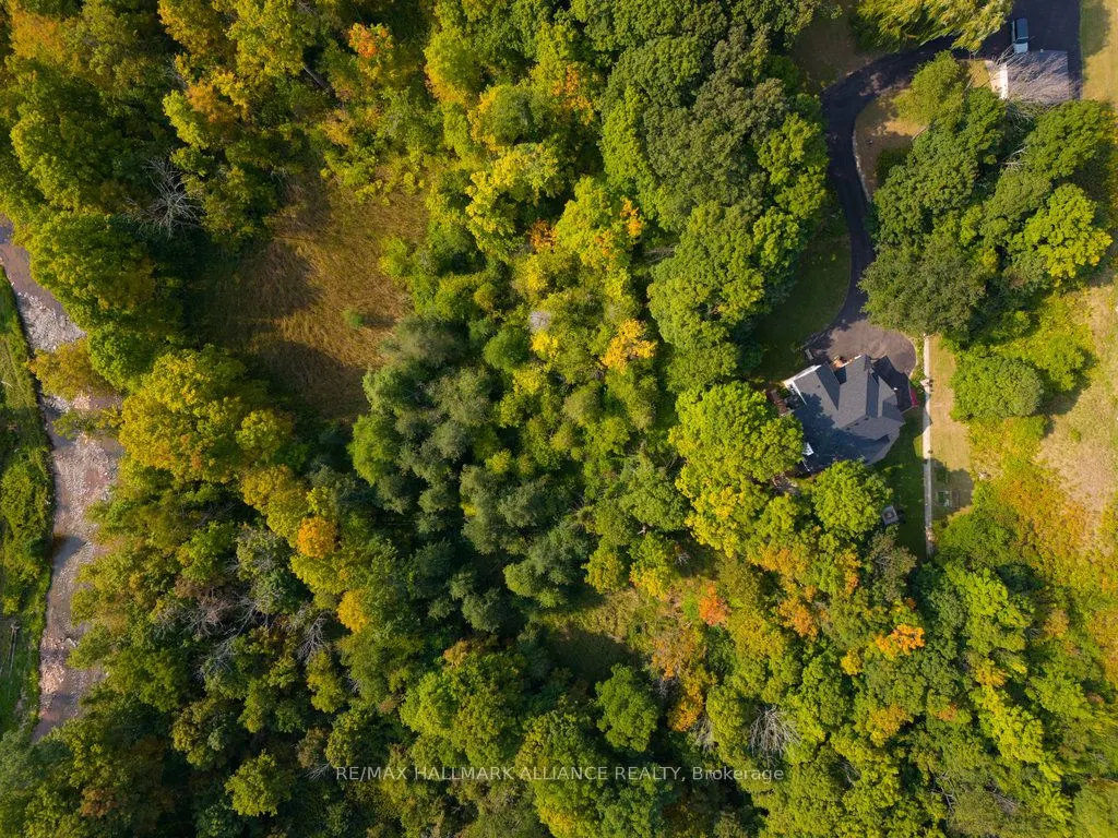 1200 Bronte Road