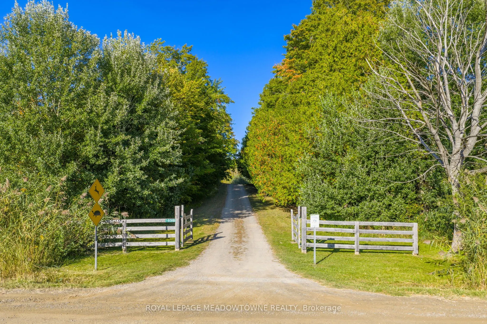 16089 Shaws Creek Road