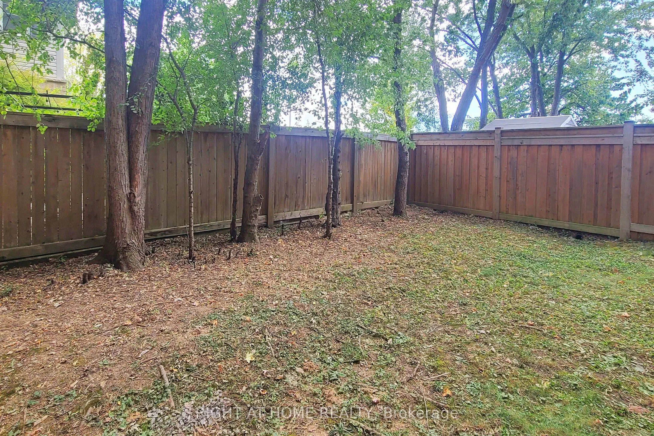 2003 DEERVIEW Common