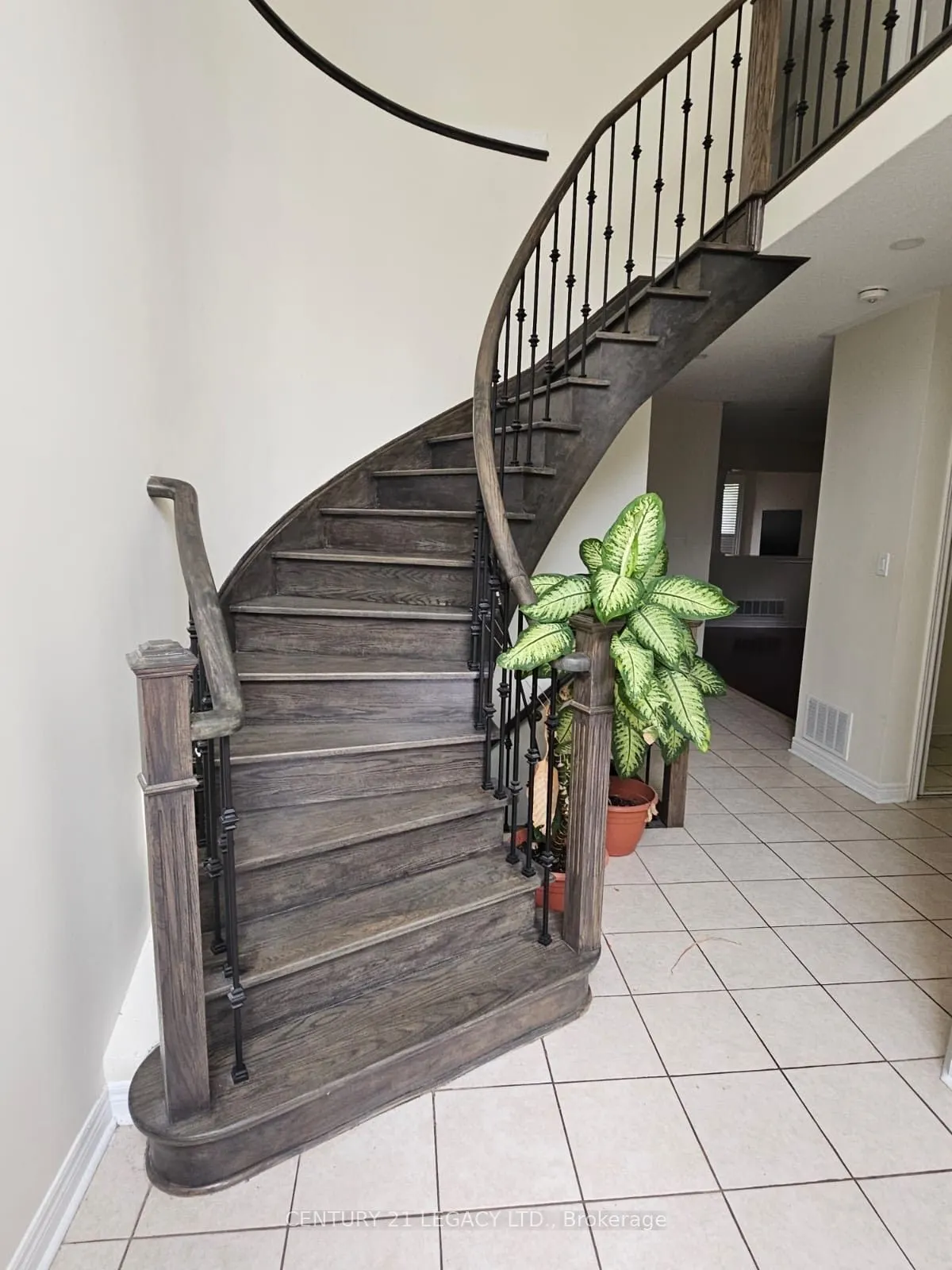 7 Trailside Walk
