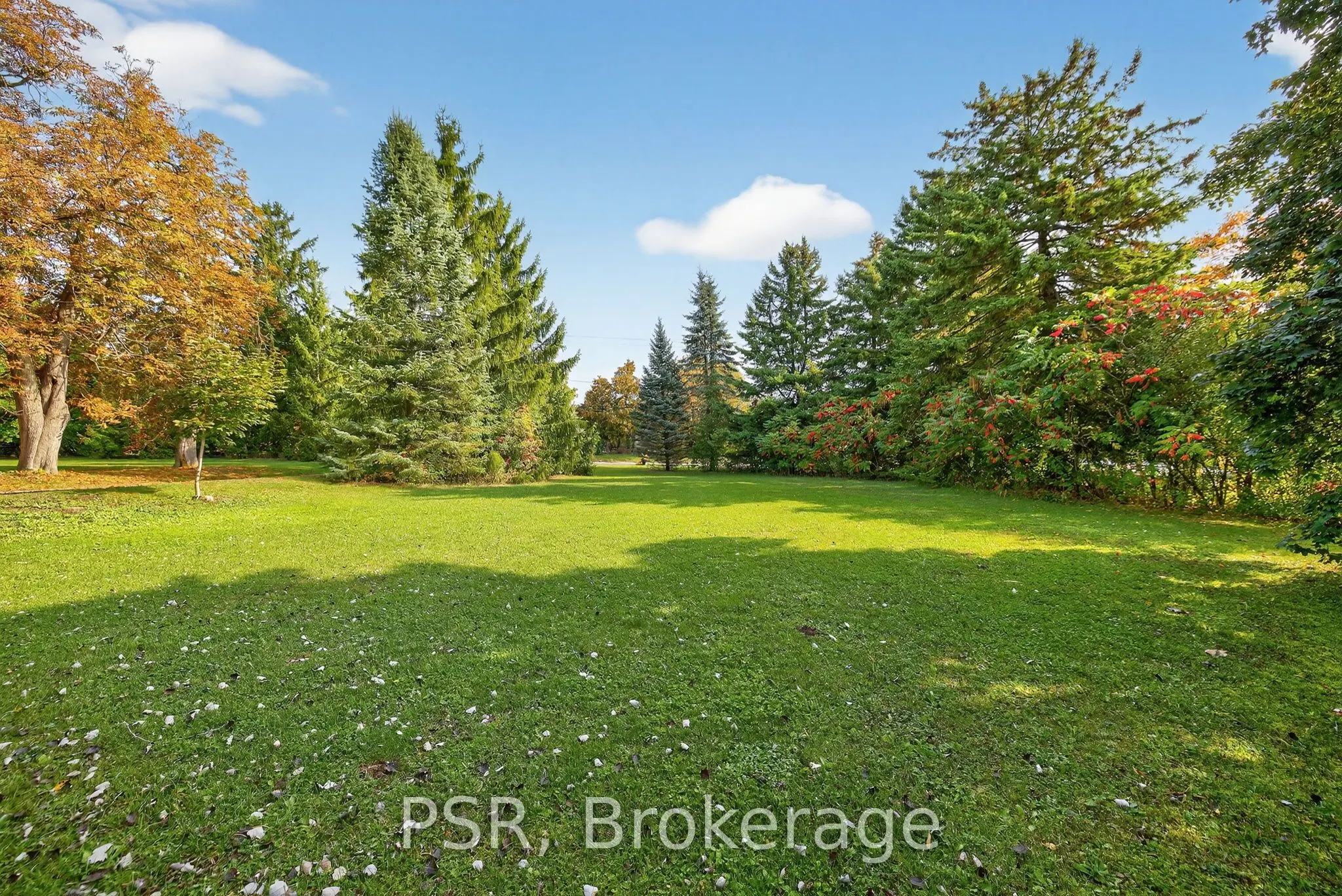 14700 Creditview Road