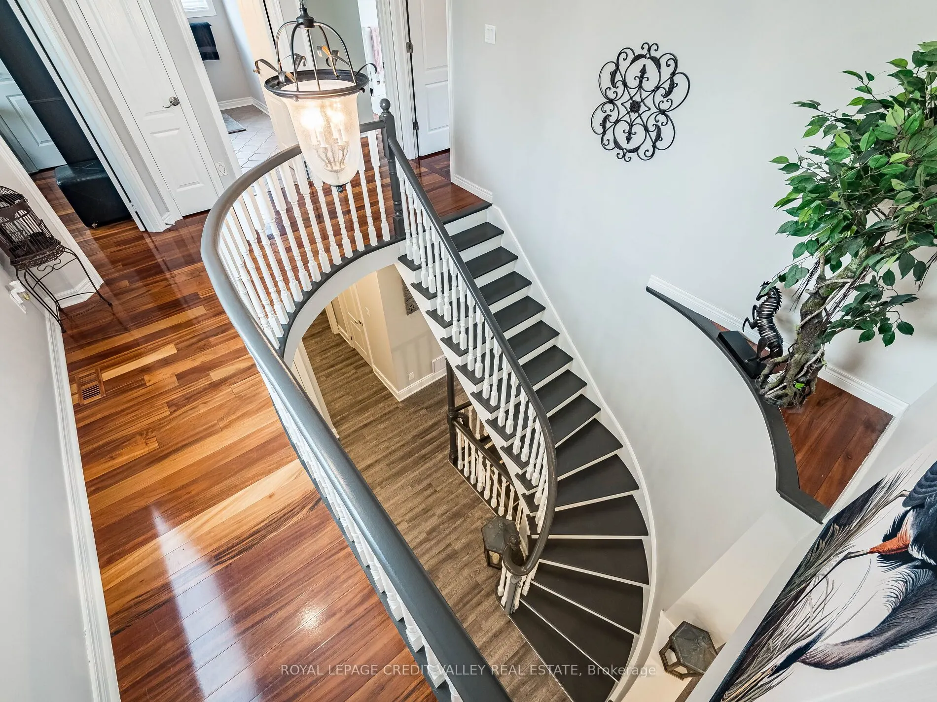 81 Pinebrook Circle