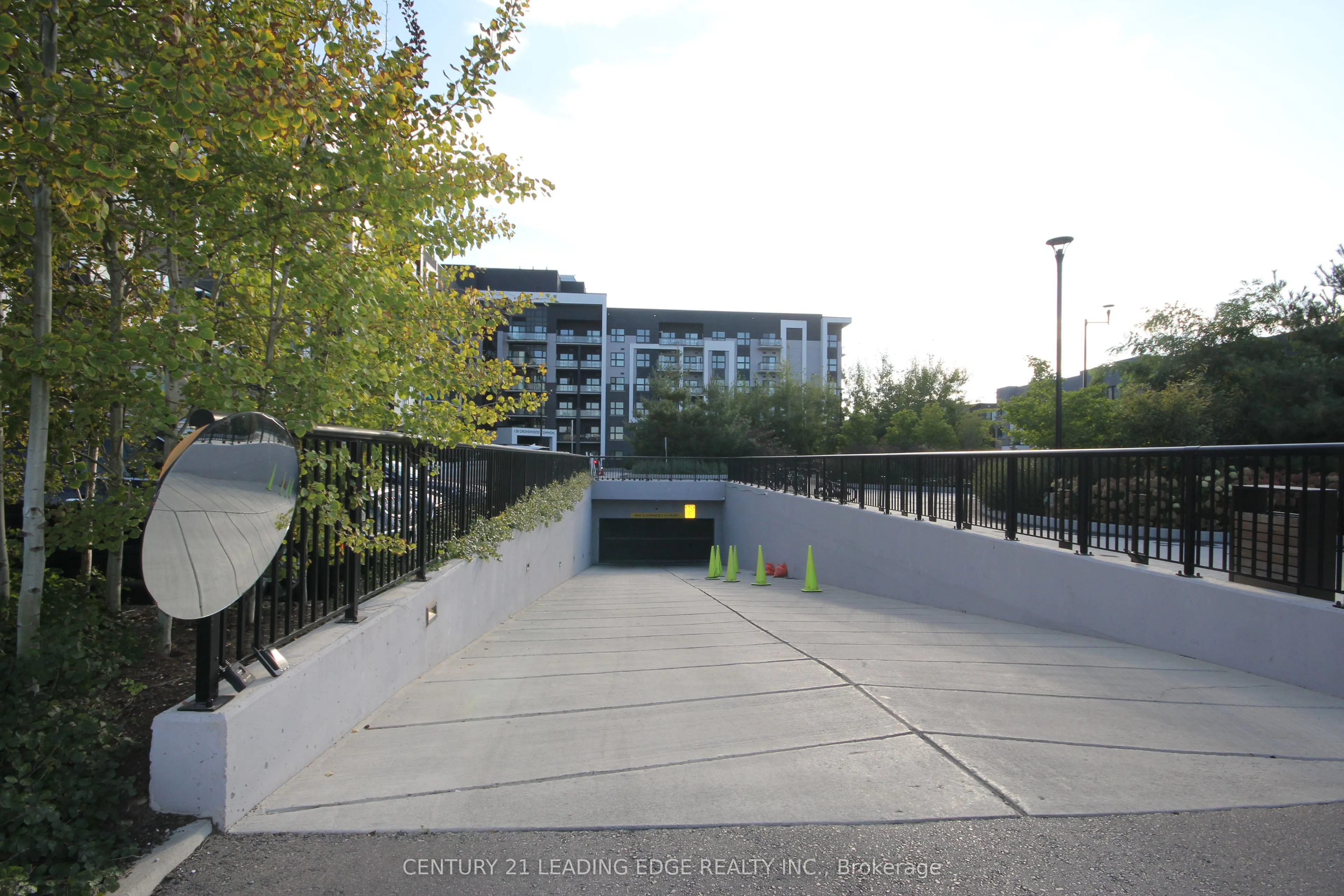 128 GROVEWOOD Common, #8