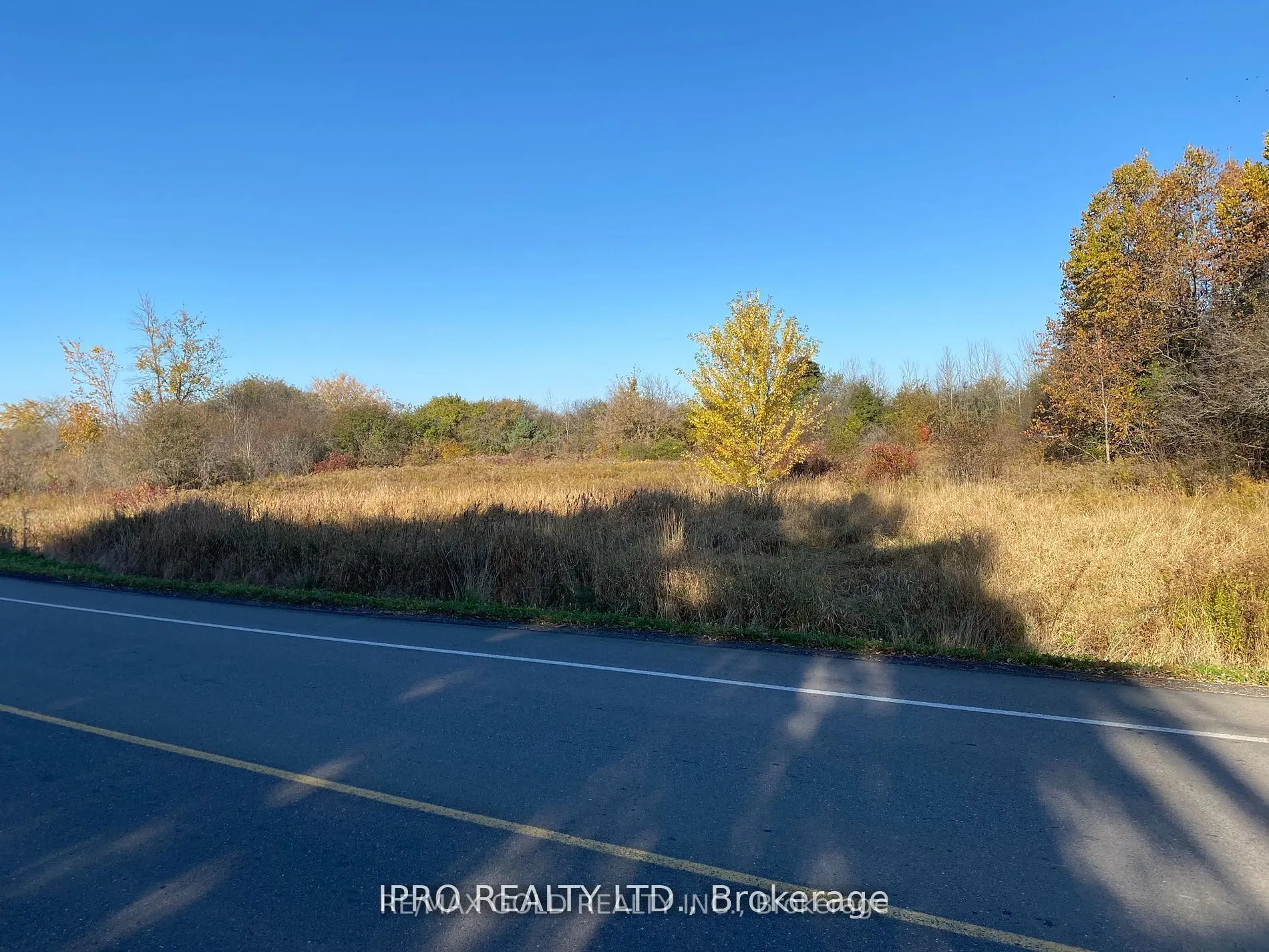 6260 Castlederg Side Road