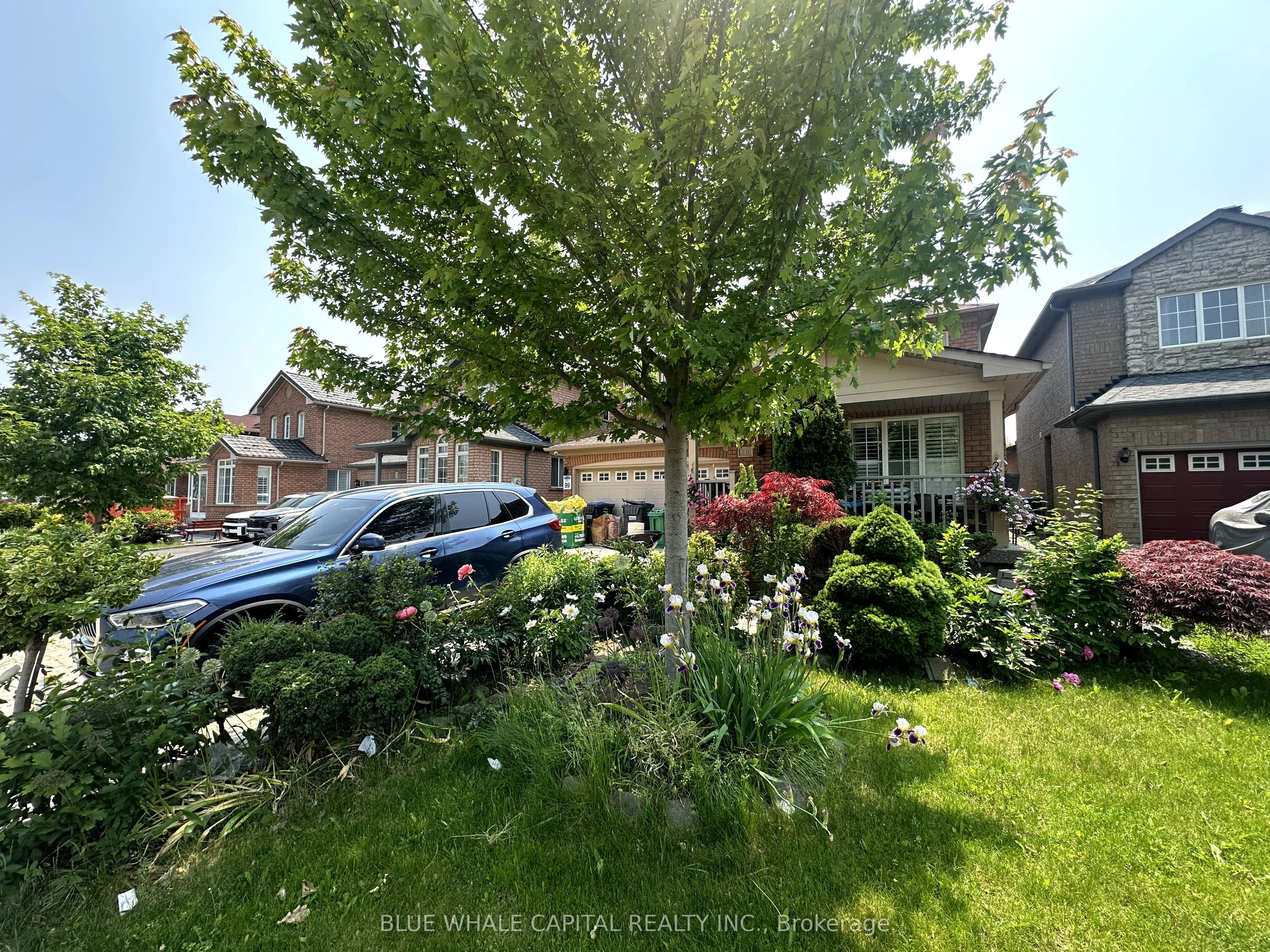20 Hollowgrove Boulevard, #Basement