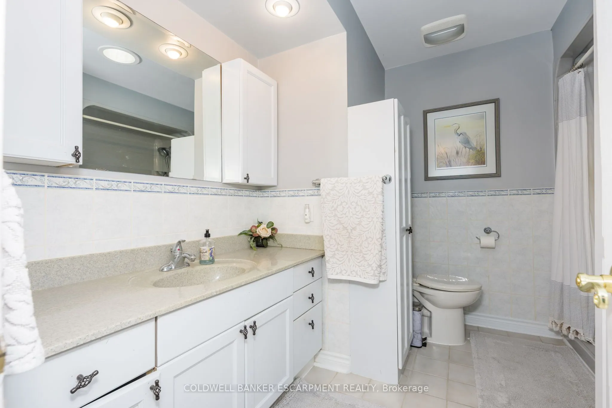 225 Elmore Drive