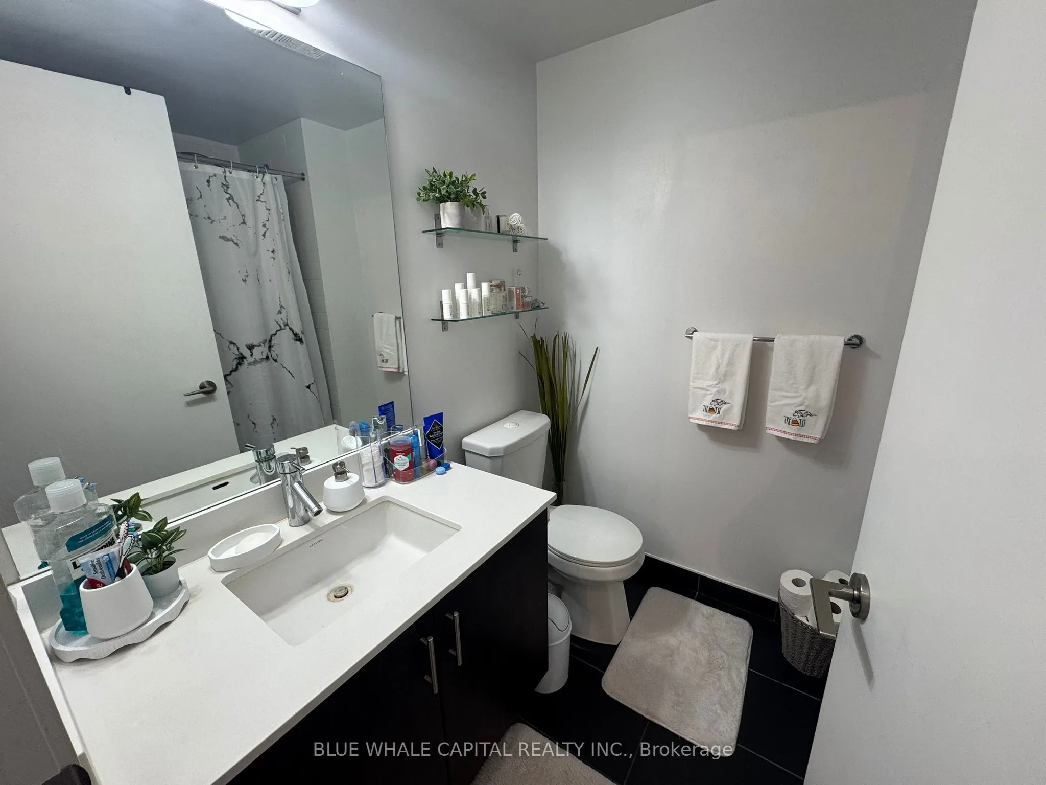 2212 Lakeshore Boulevard W, #1707