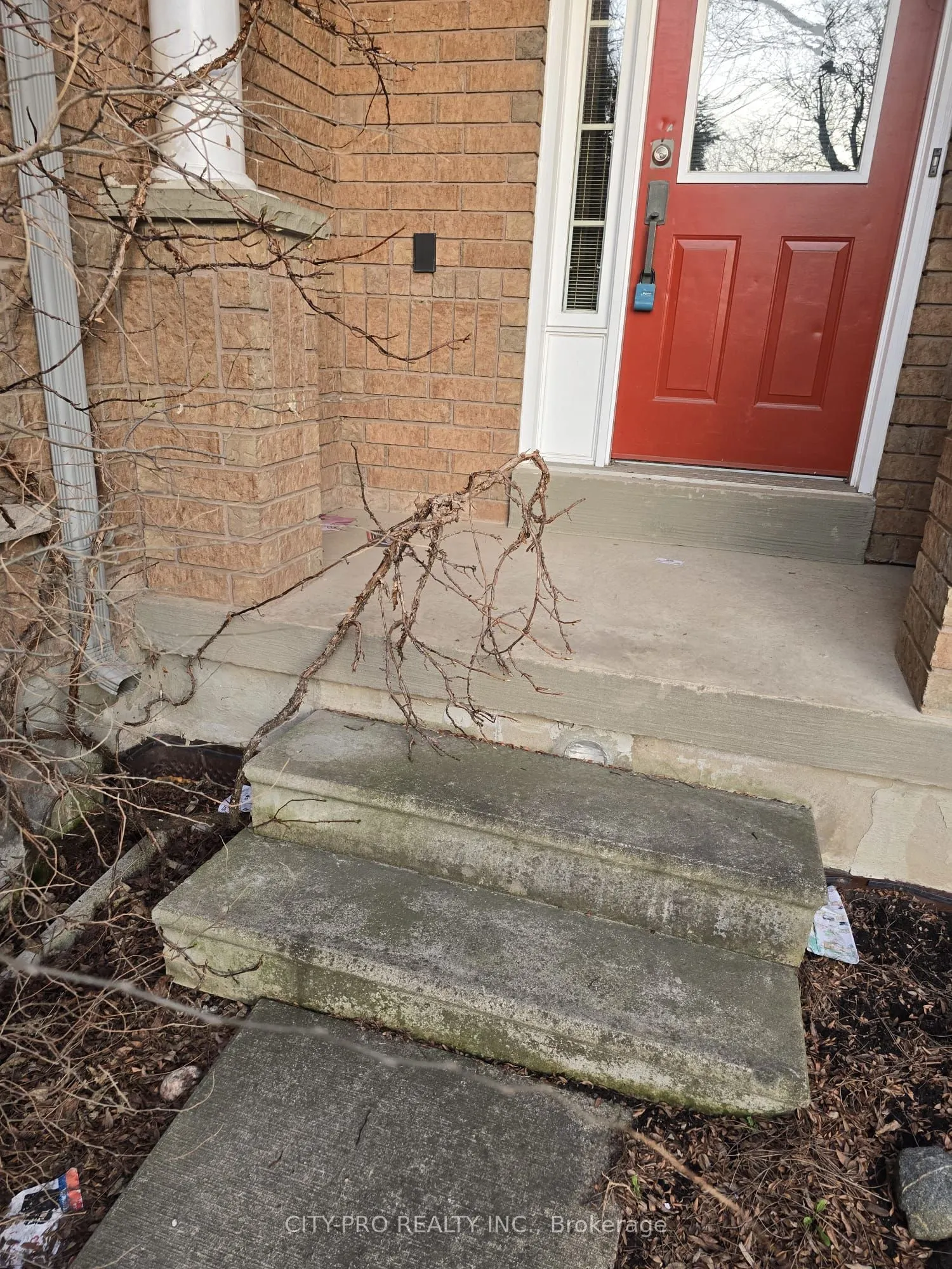 55 Rain Lily Lane