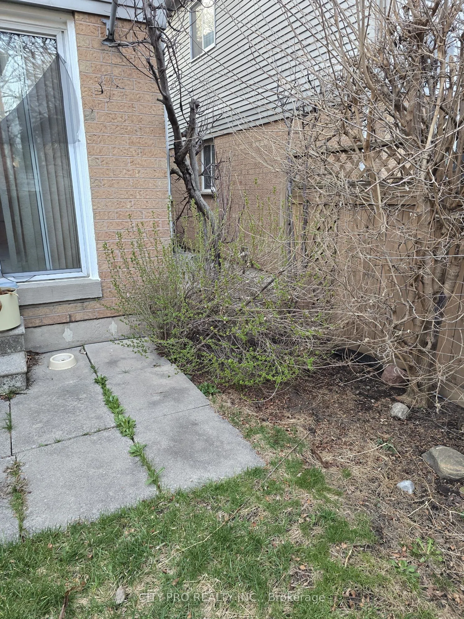 55 Rain Lily Lane