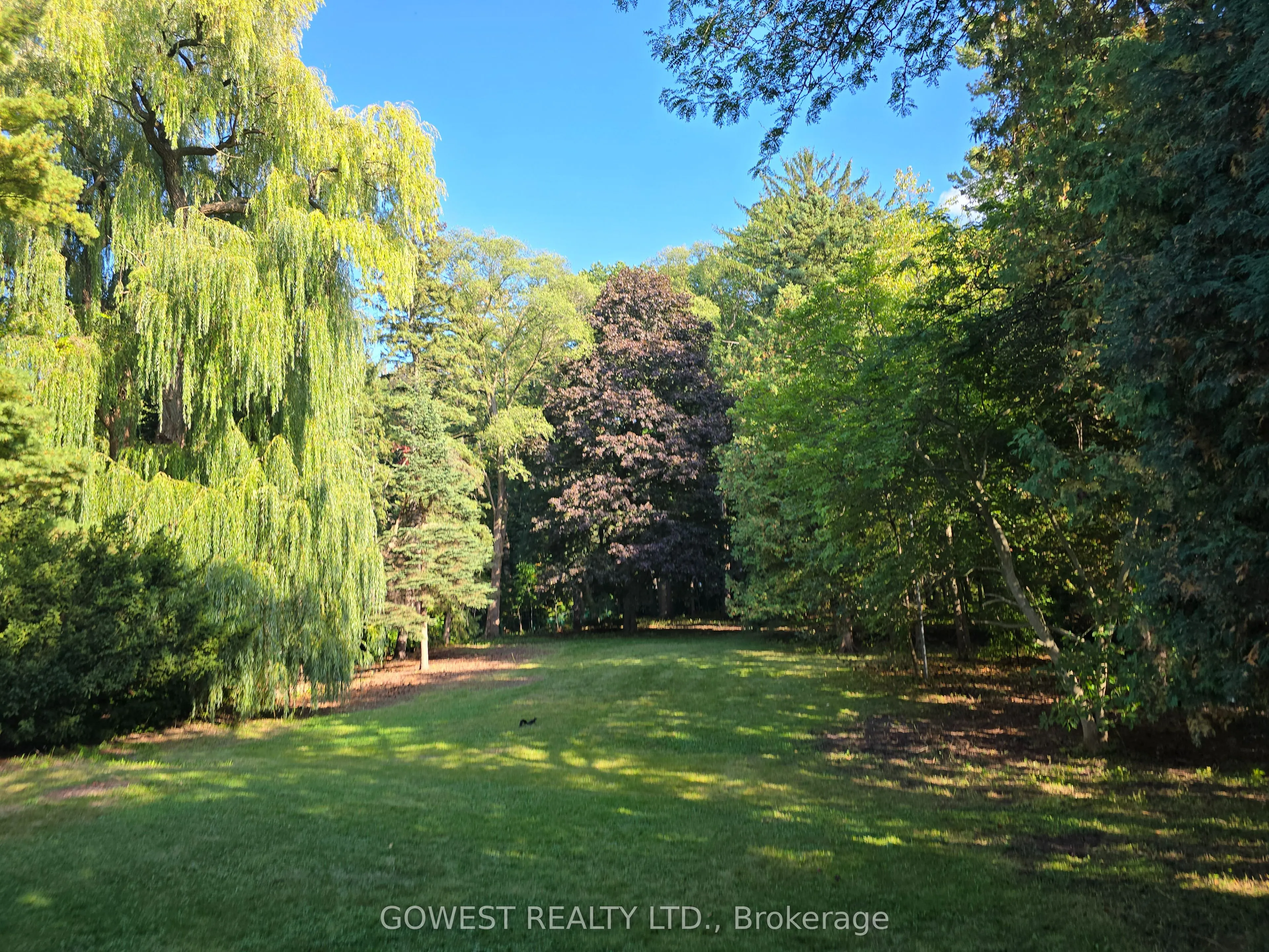 62 Pinewood Trail