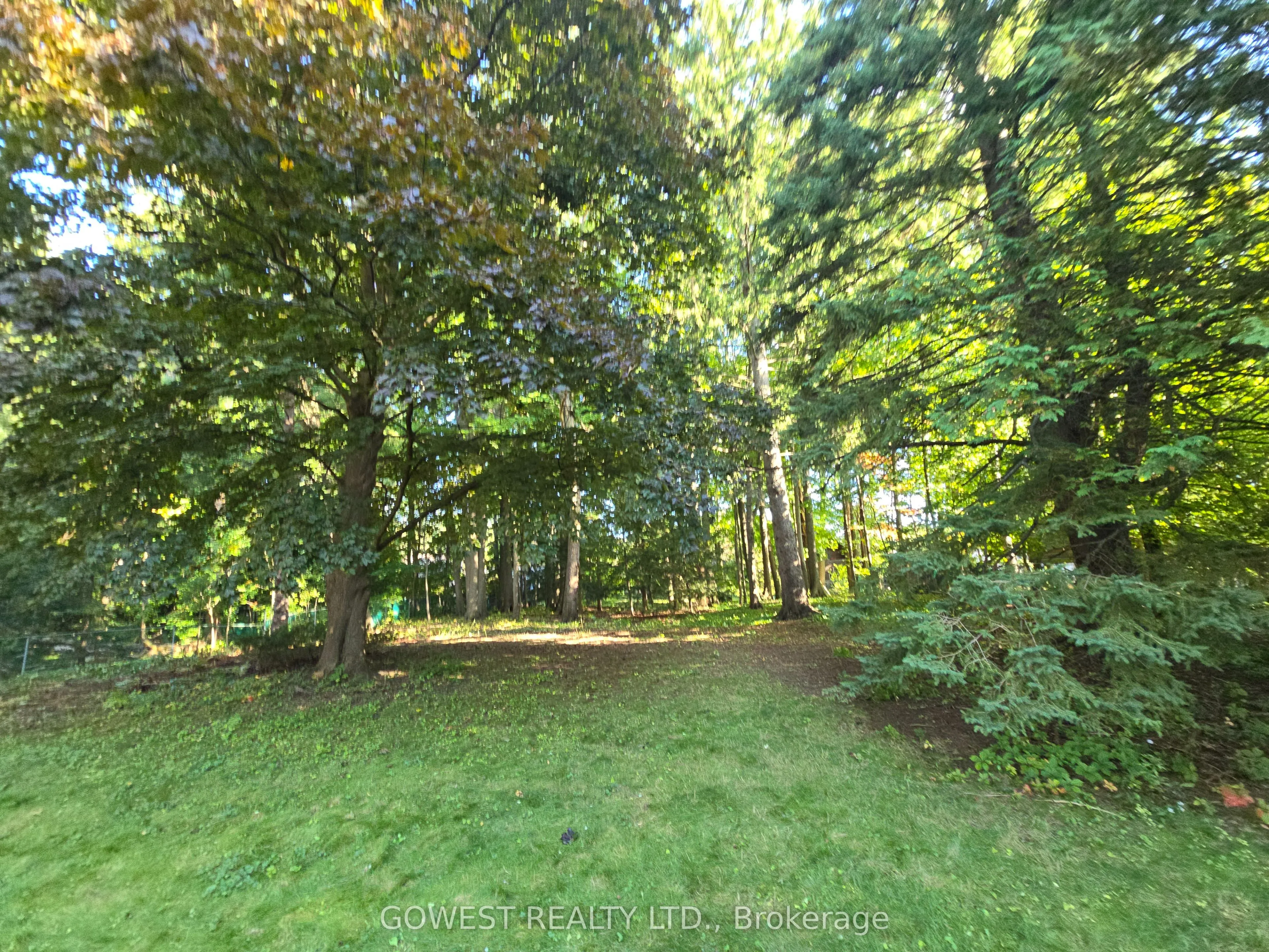 62 Pinewood Trail
