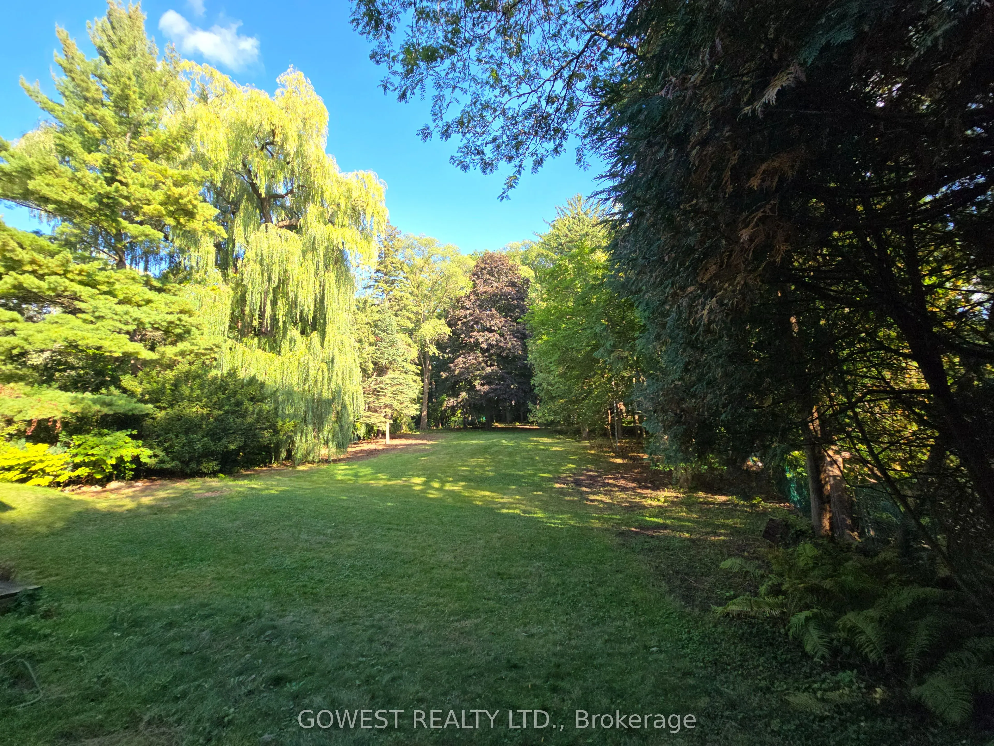62 Pinewood Trail