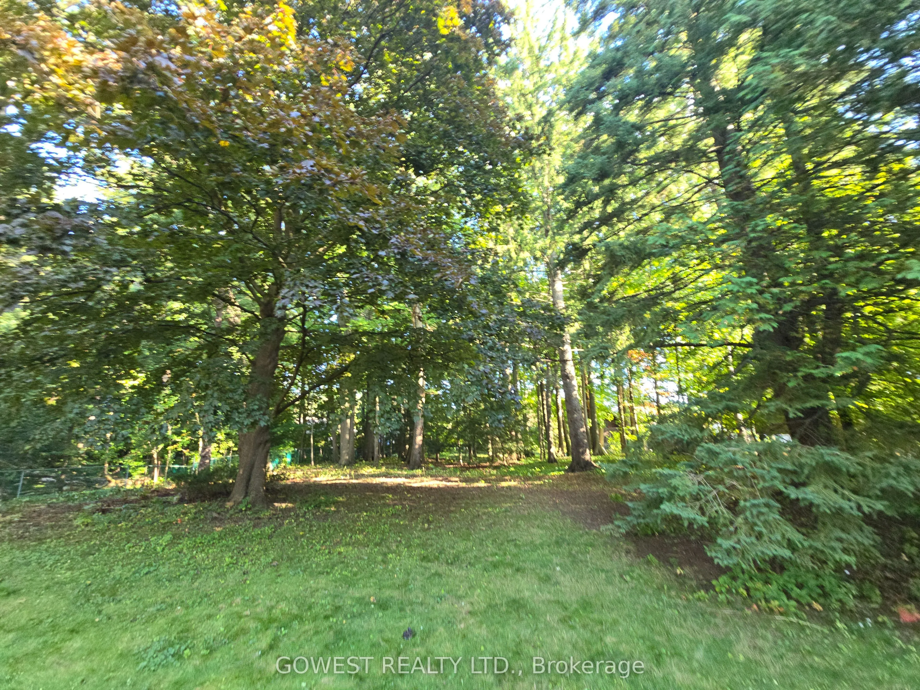 62 Pinewood Trail