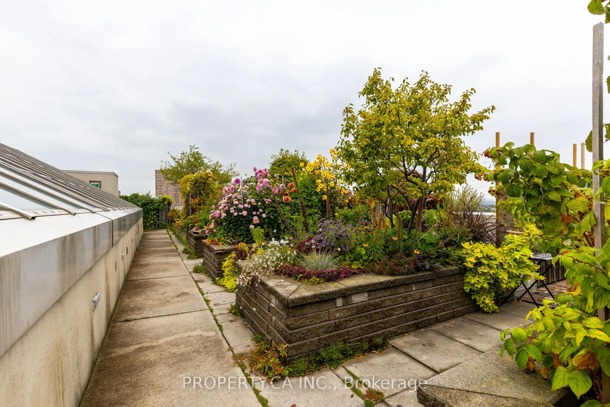 437 Roncesvalles Avenue, #211
