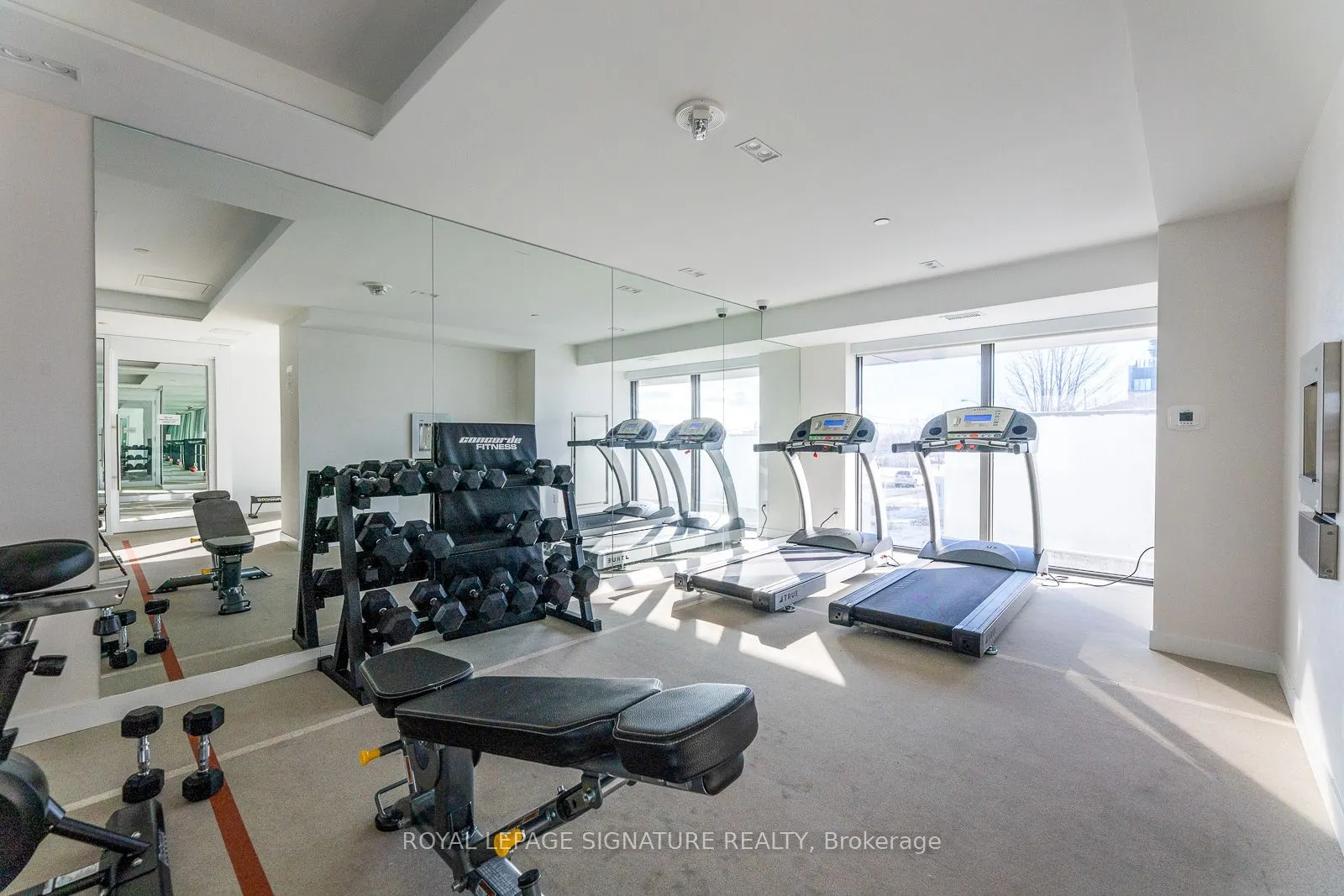 1195 The Queensway, #404