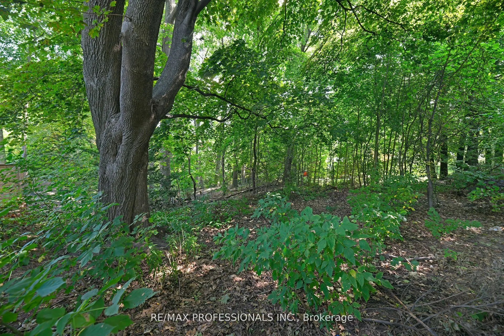1161 Royal York Road