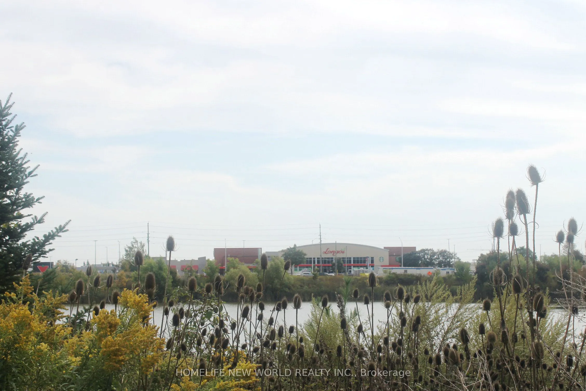 3079 Trafalgar Road, #1611
