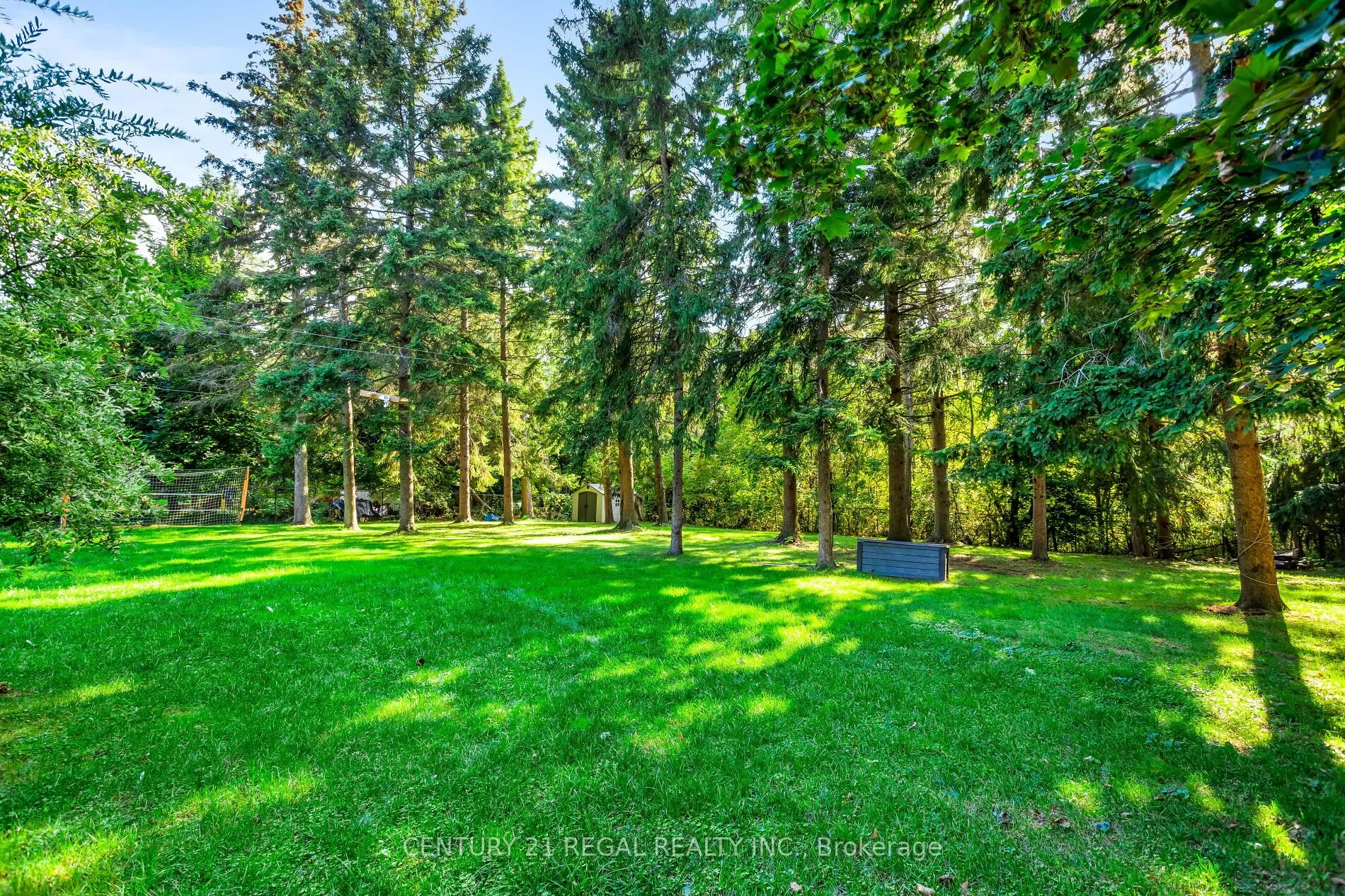 4434 Cedar Springs Road