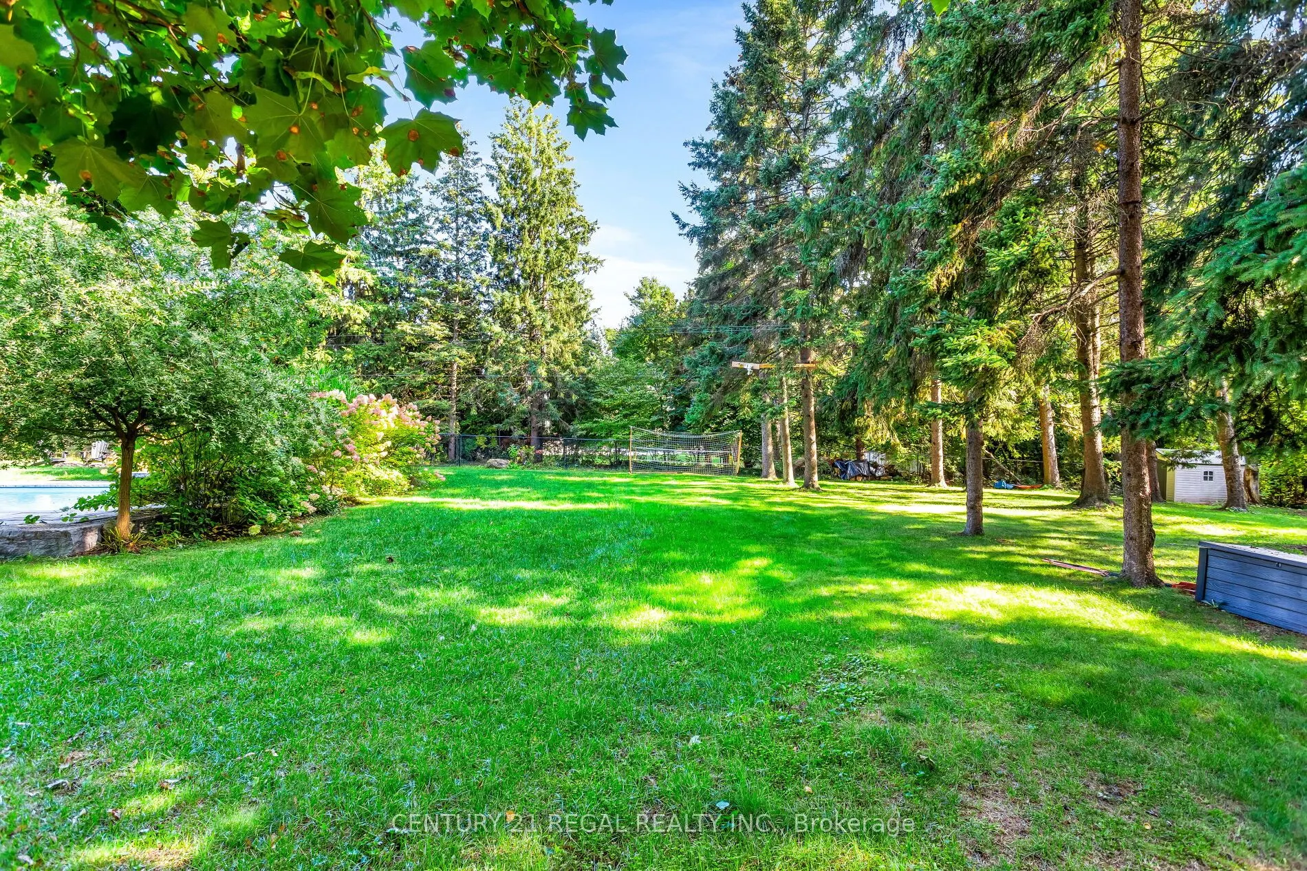 4434 Cedar Springs Road