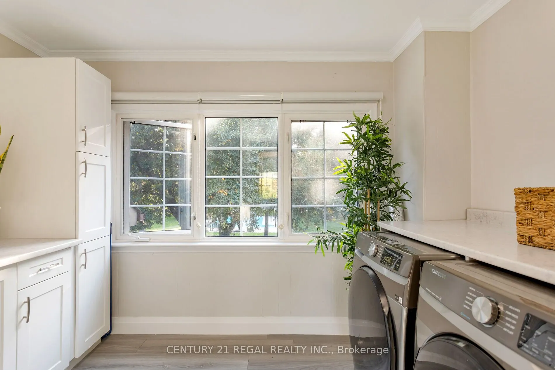 4434 Cedar Springs Road