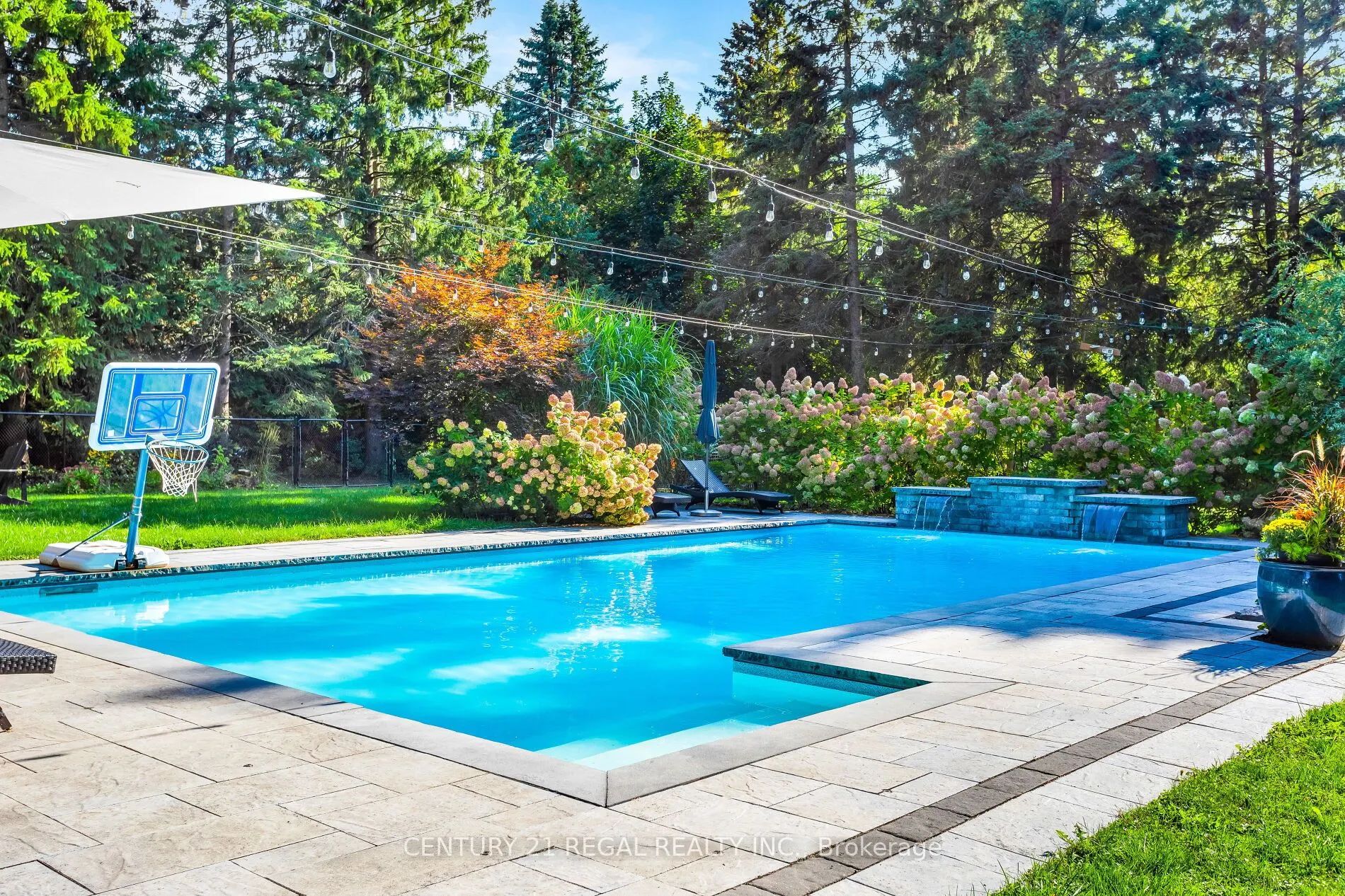 4434 Cedar Springs Road