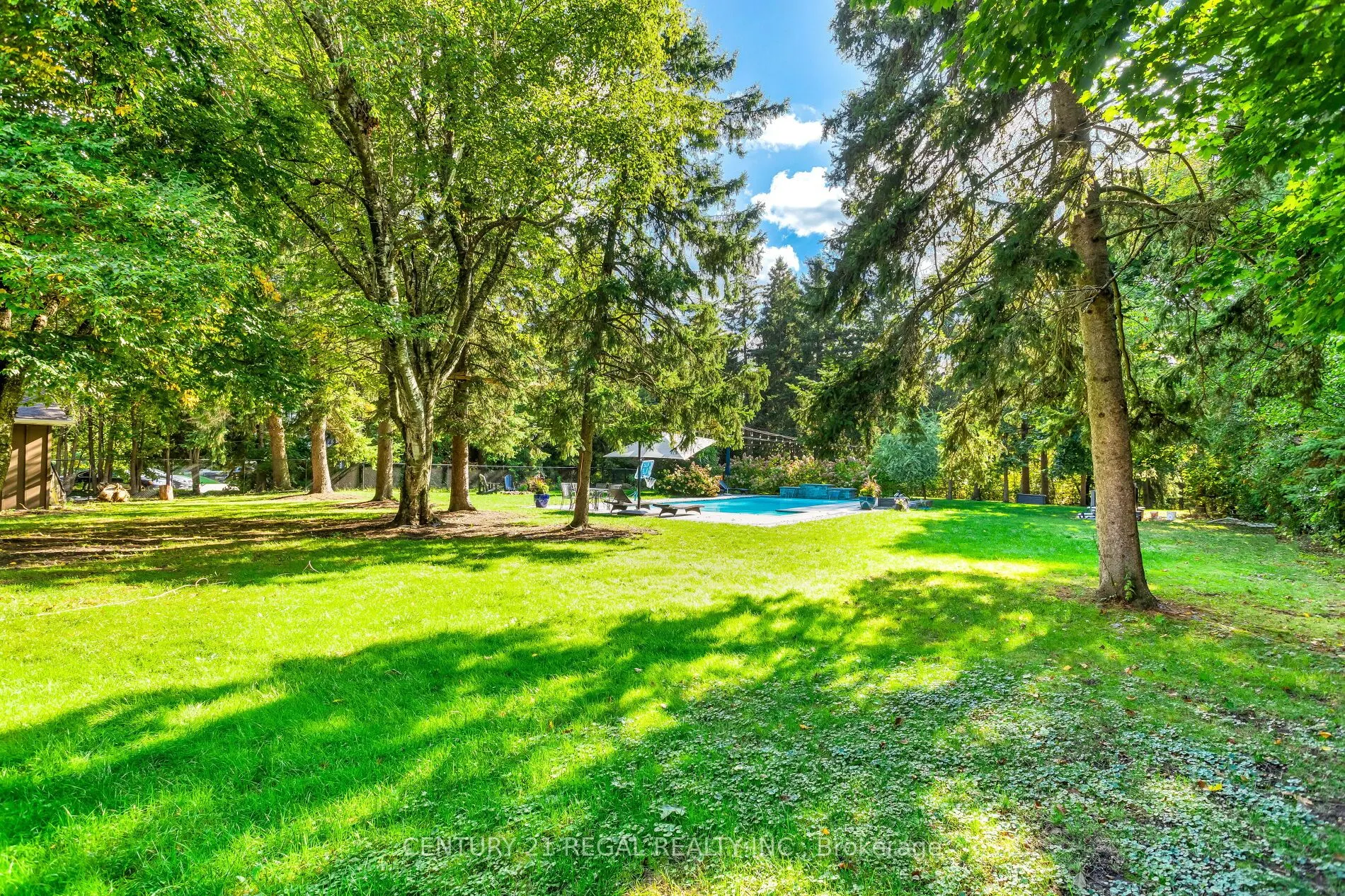 4434 Cedar Springs Road