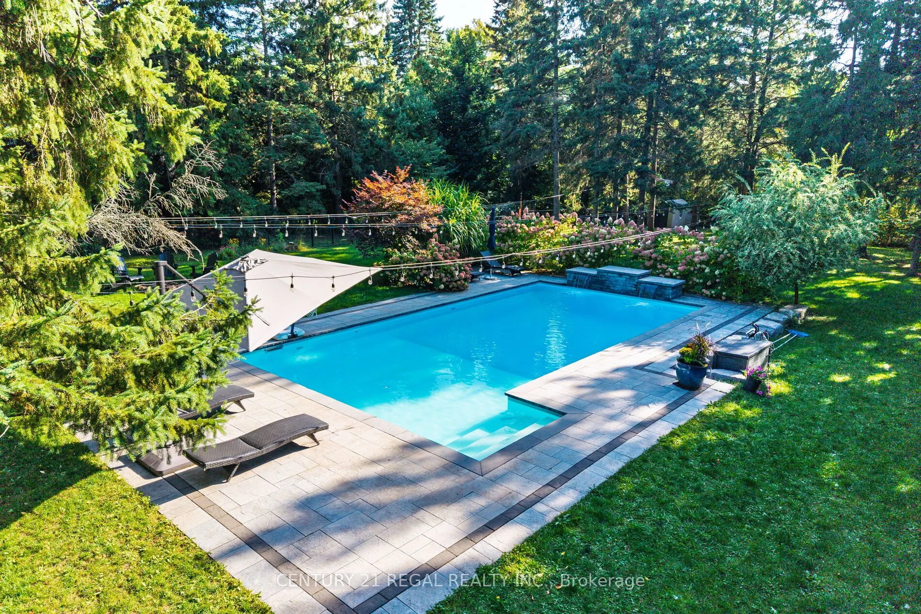 4434 Cedar Springs Road