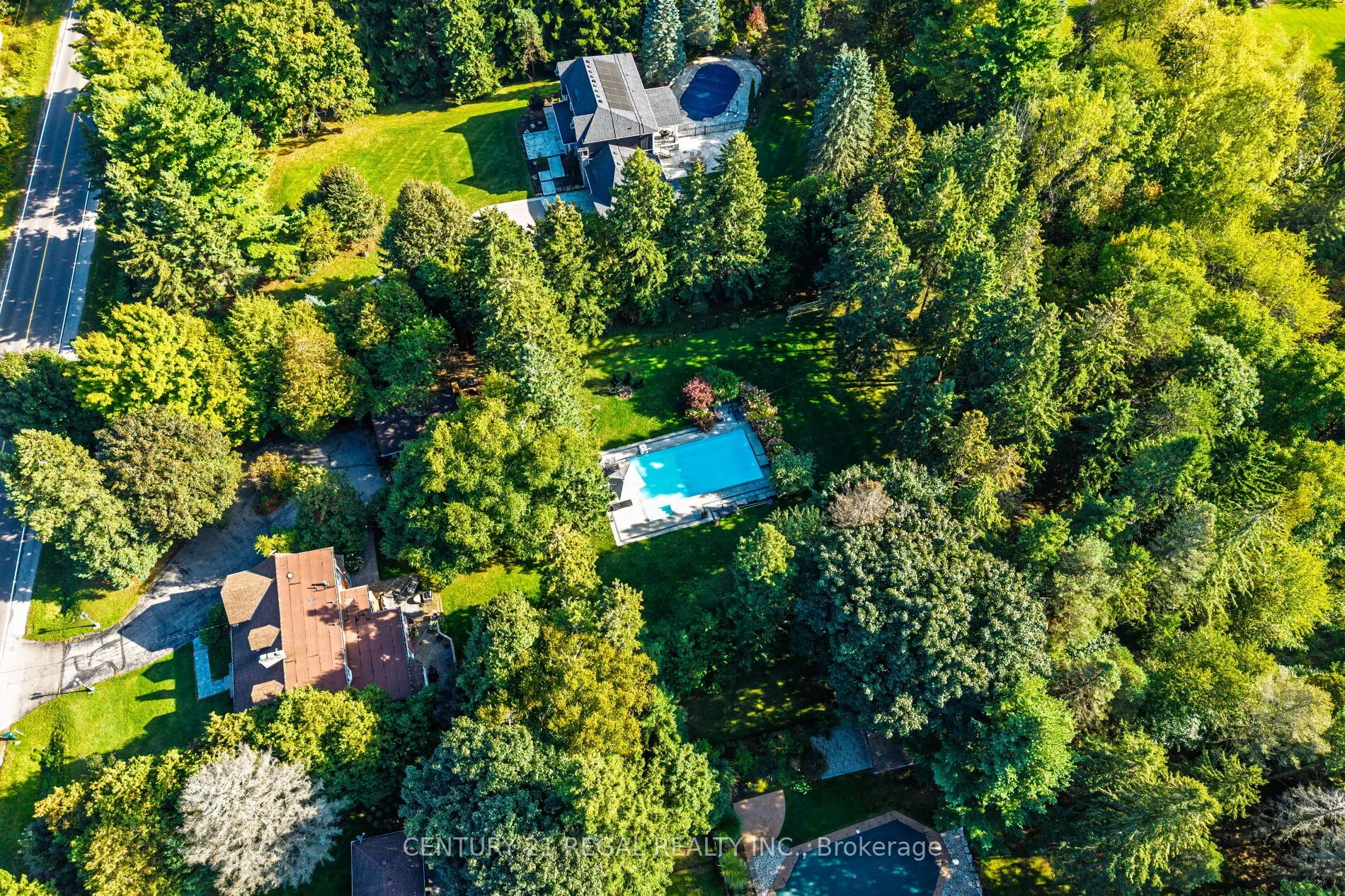 4434 Cedar Springs Road