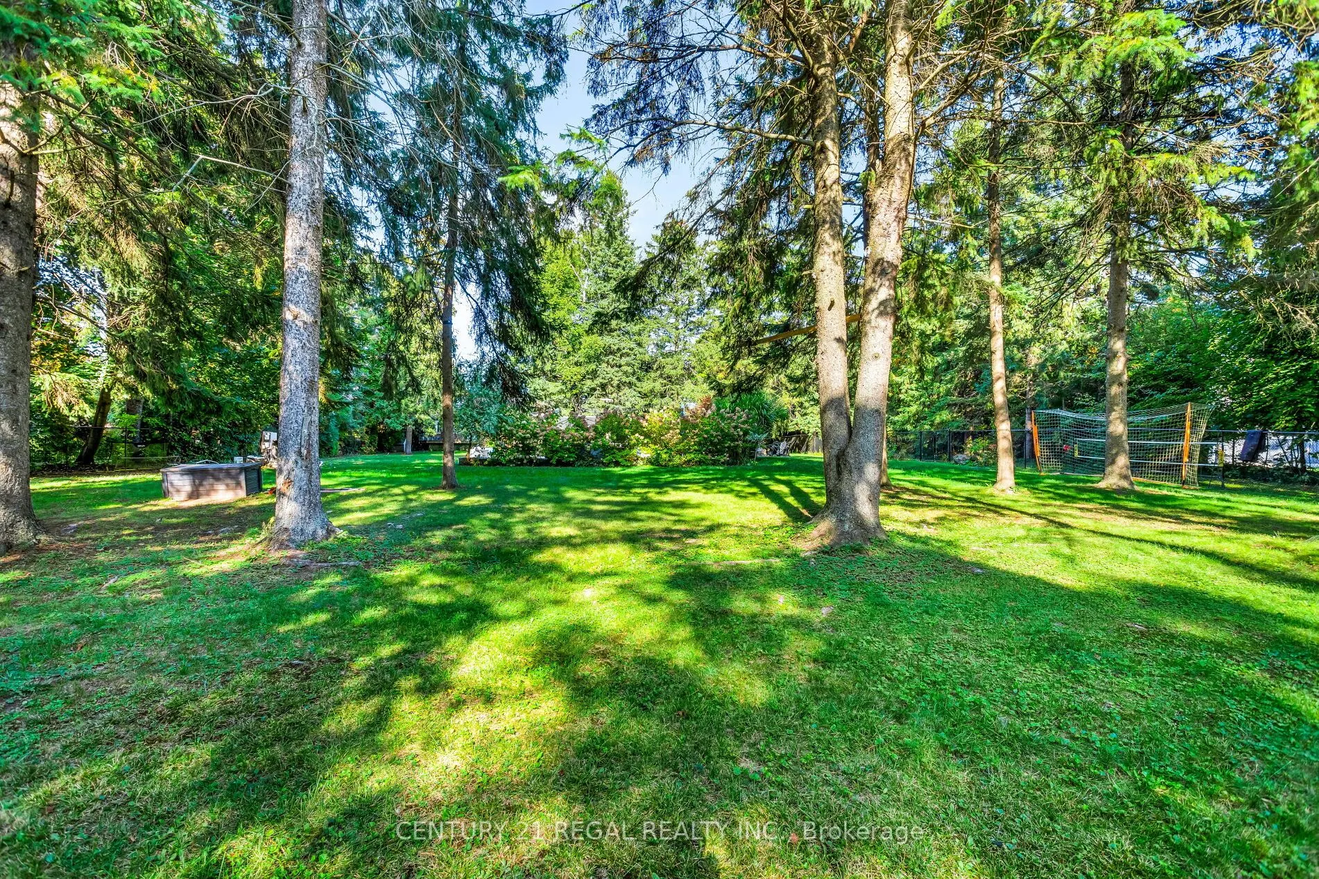 4434 Cedar Springs Road