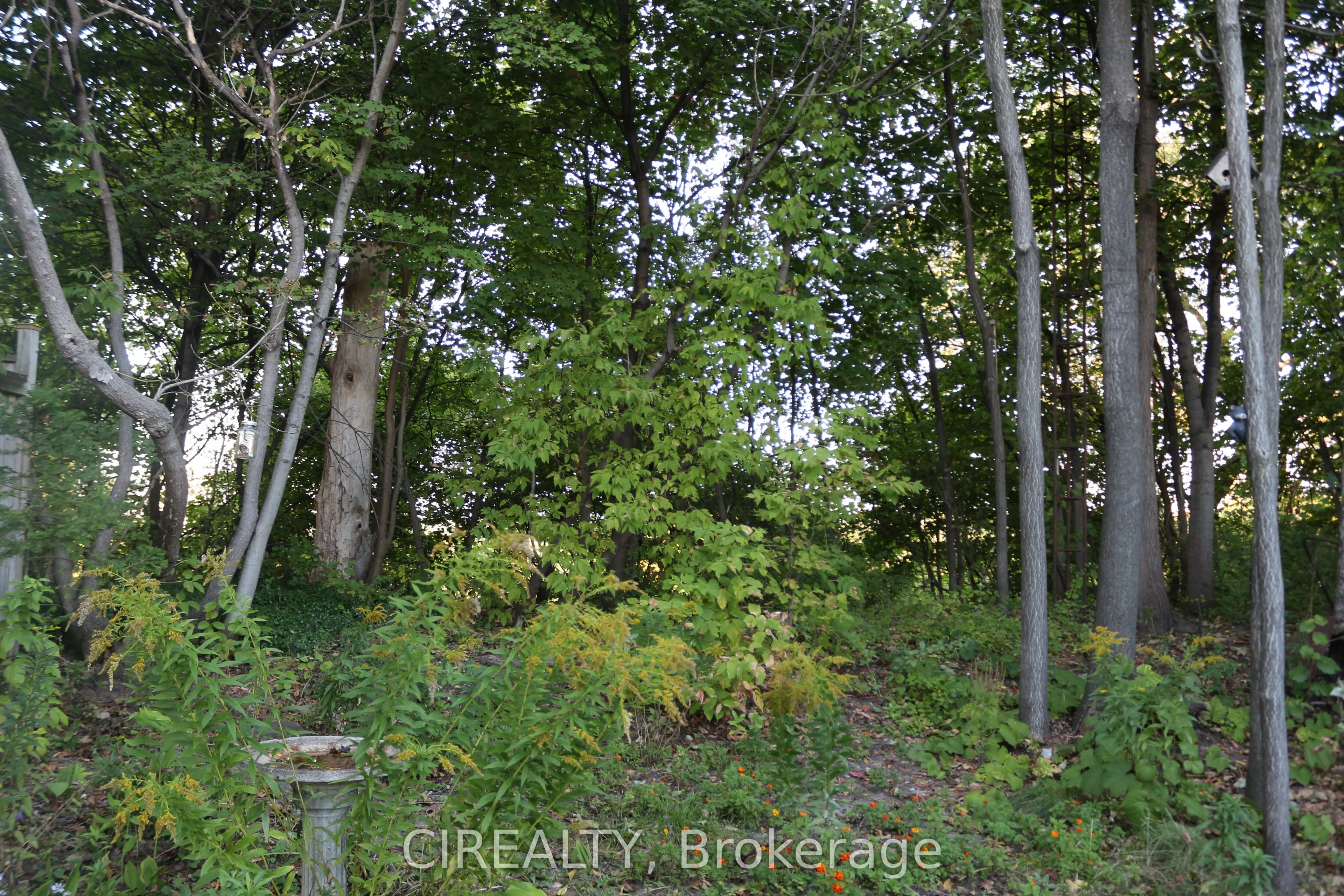 140 Ellins Avenue