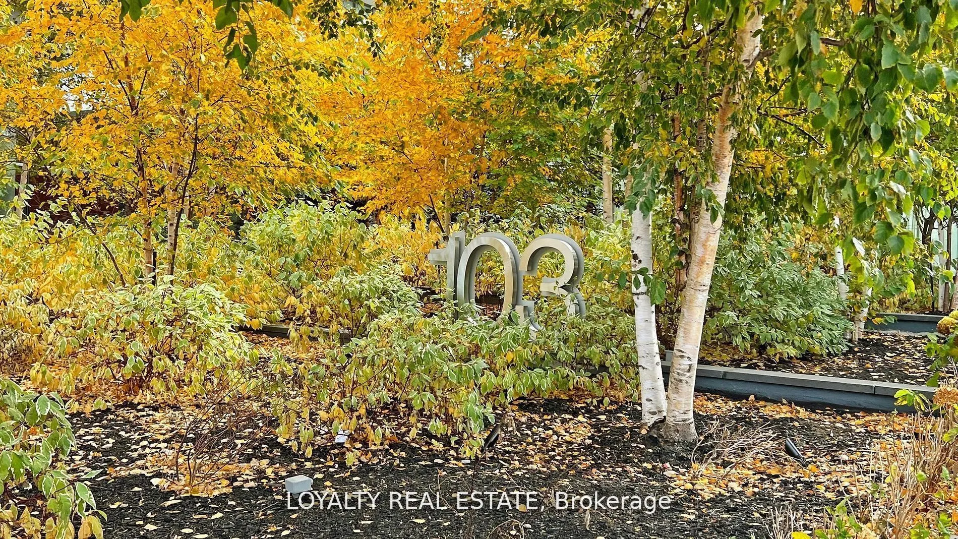 103 The Queensway W, #1810