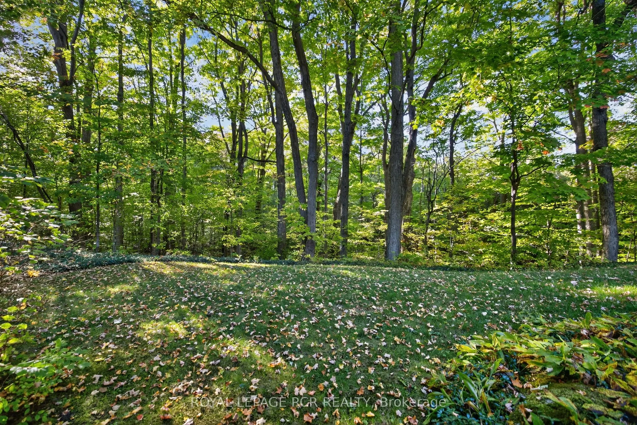 20 Caledon Mountain Drive
