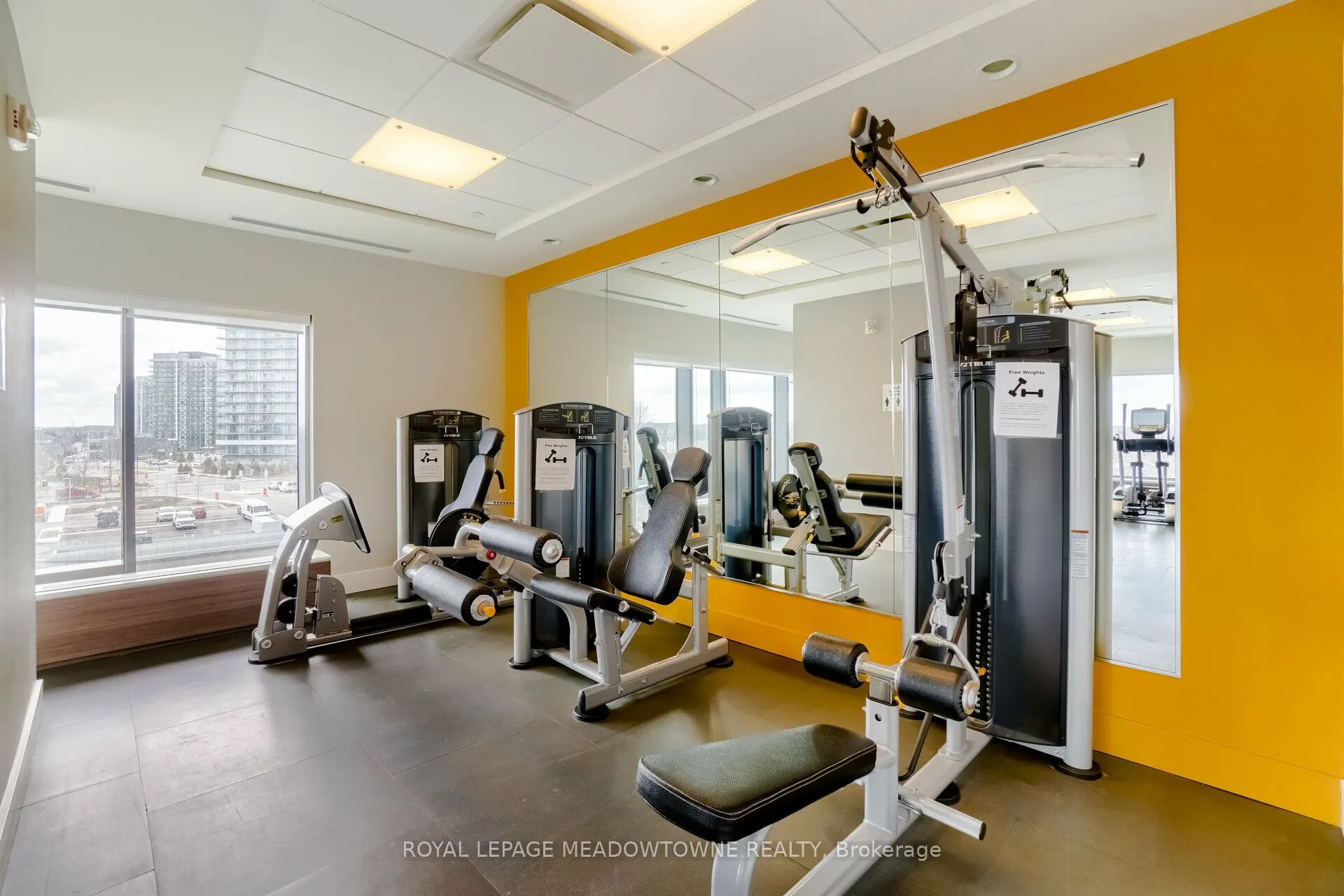 2560 Eglinton Avenue W, #802
