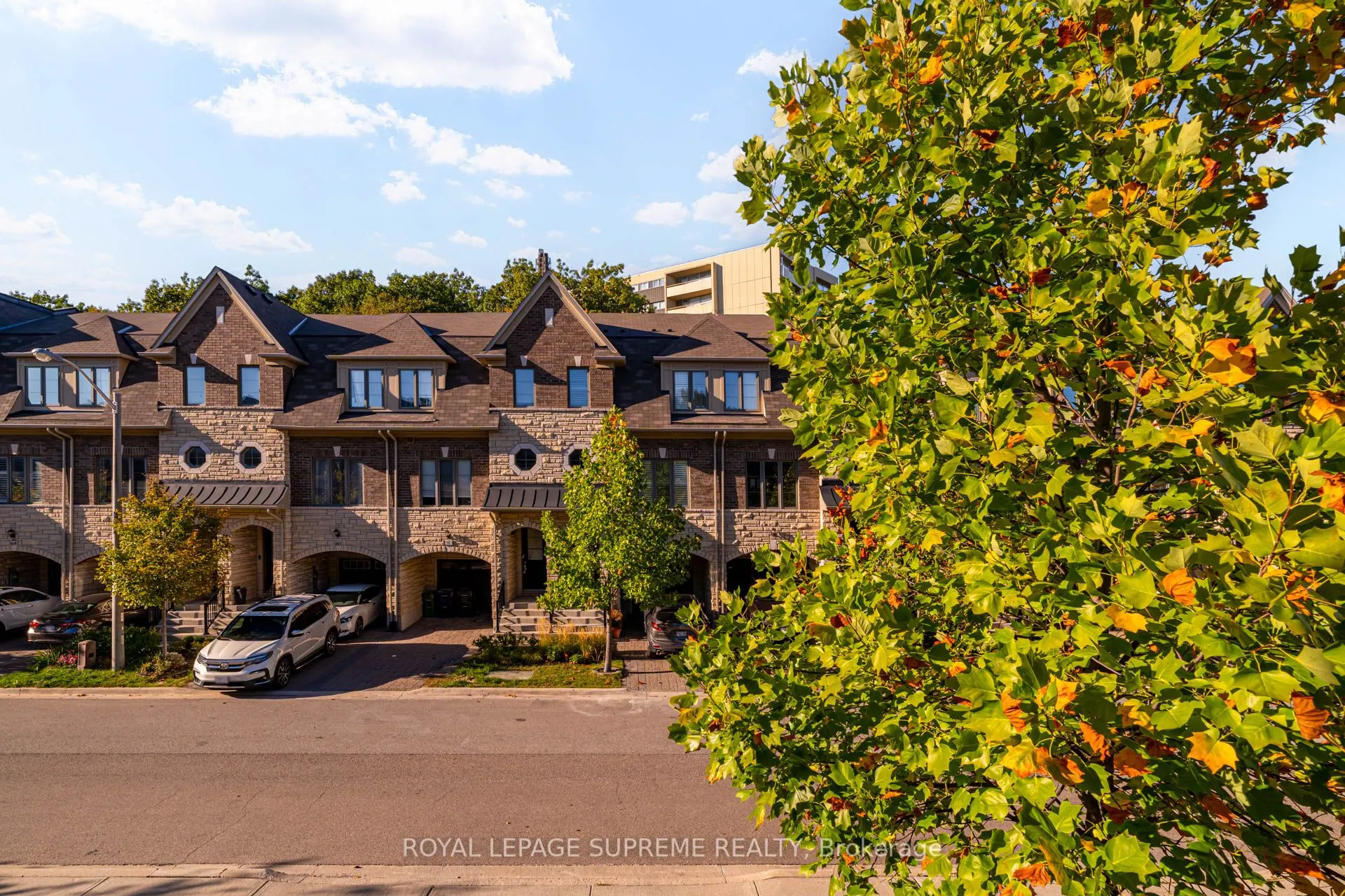 53 Dryden Way