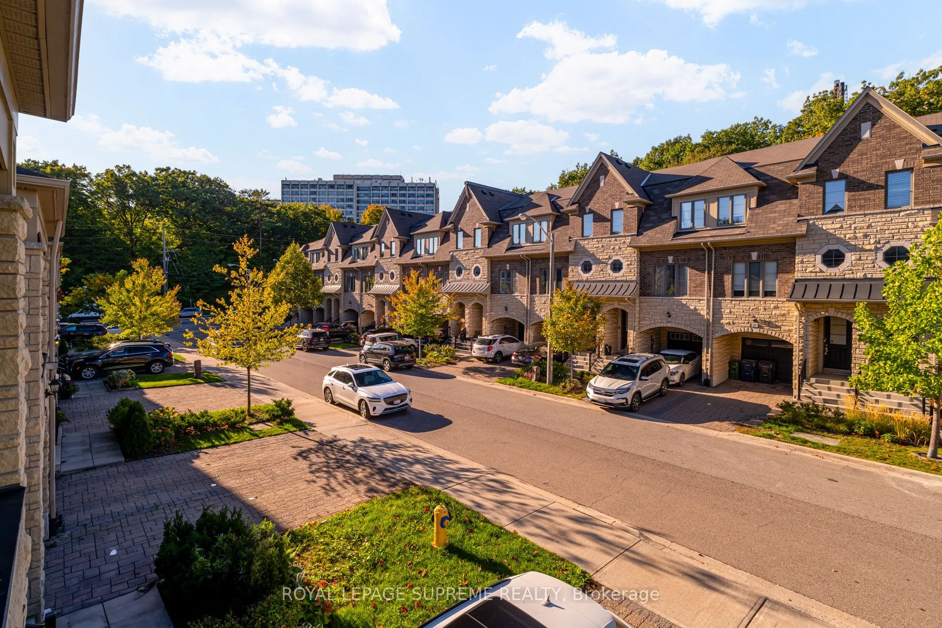 53 Dryden Way
