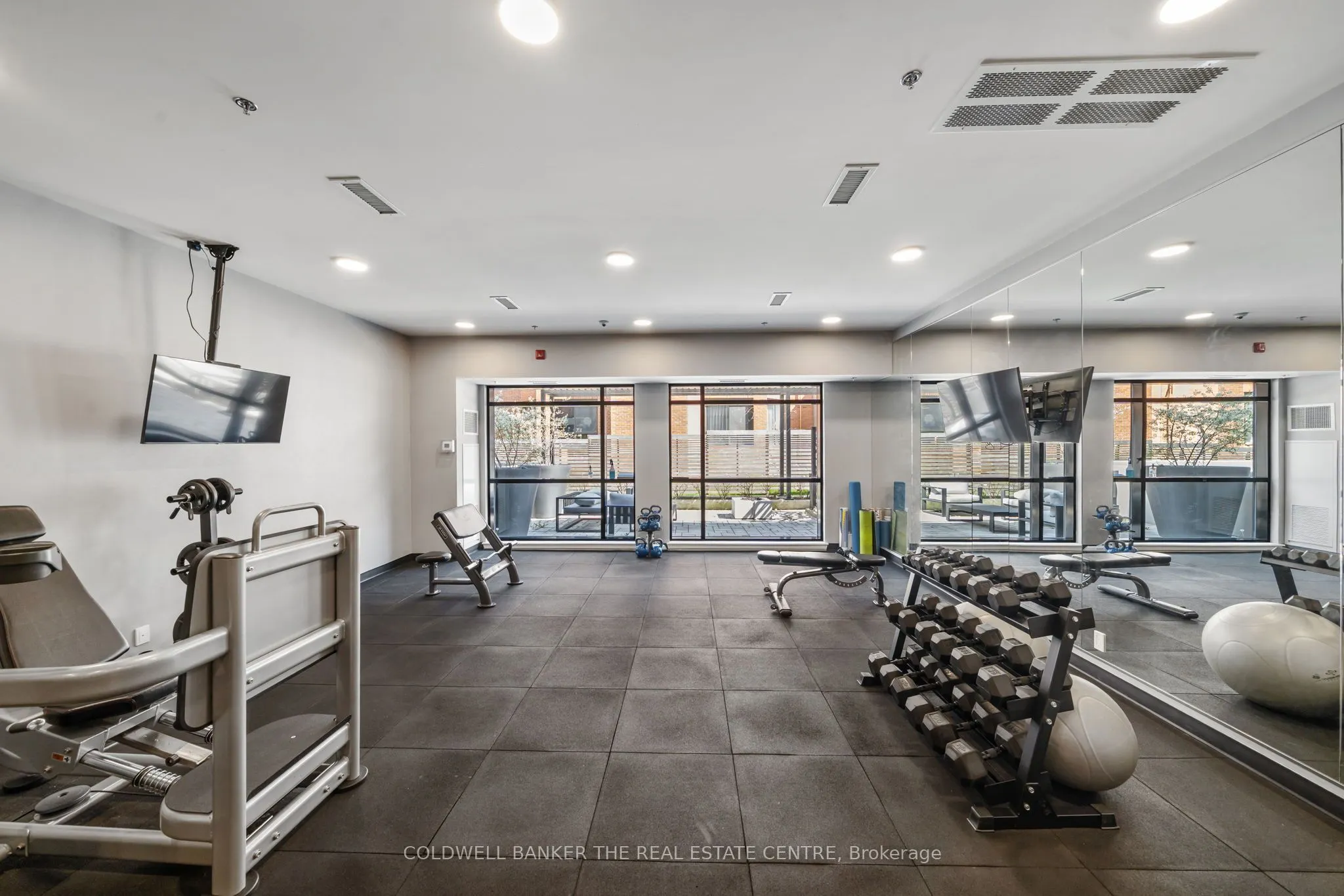 50 Ann Street, #410