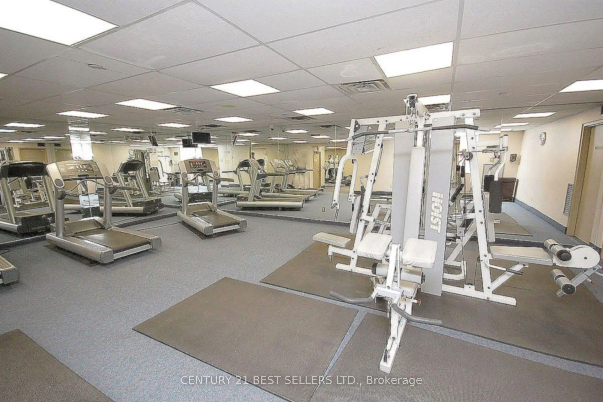 325 Webb Drive, #1704