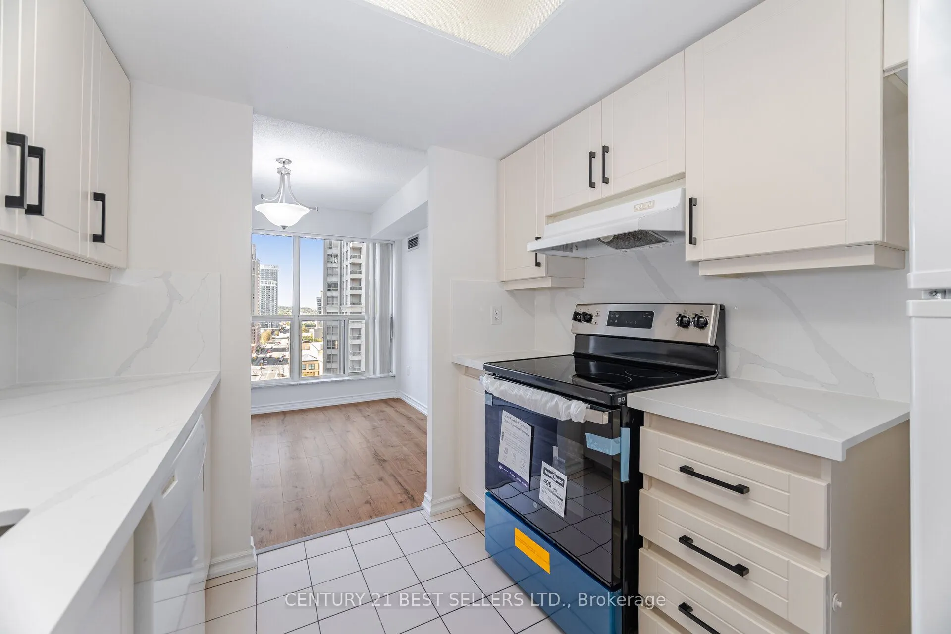 325 Webb Drive, #1704