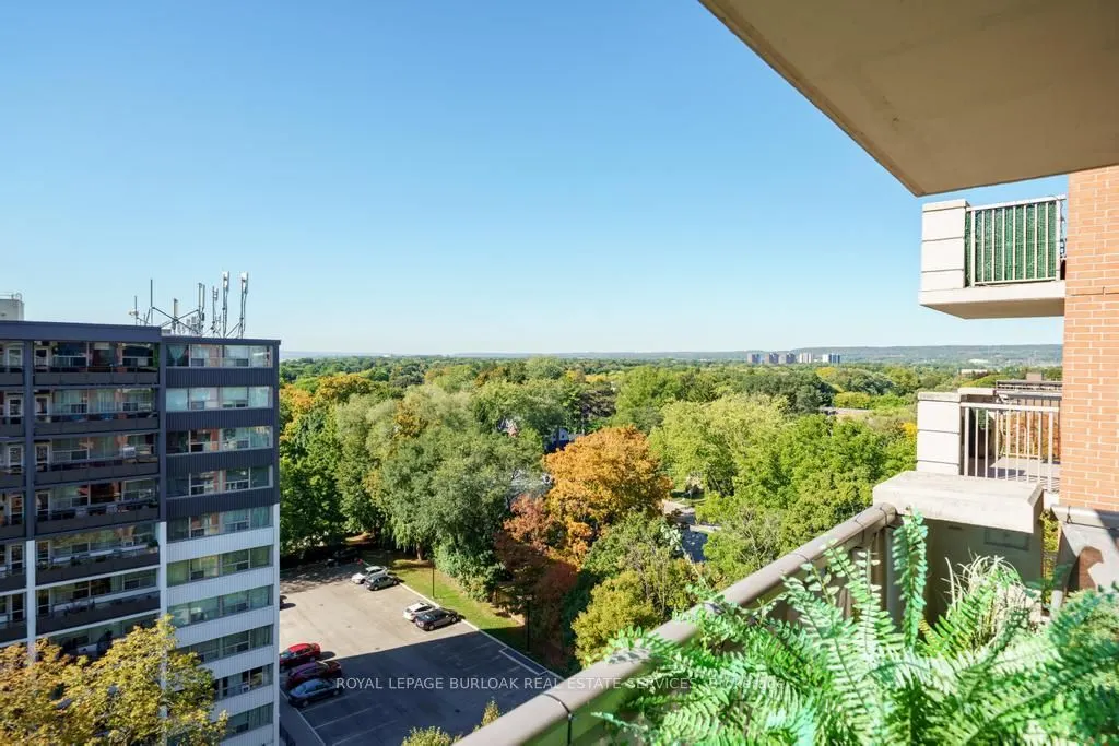 442 Maple Avenue, #1101